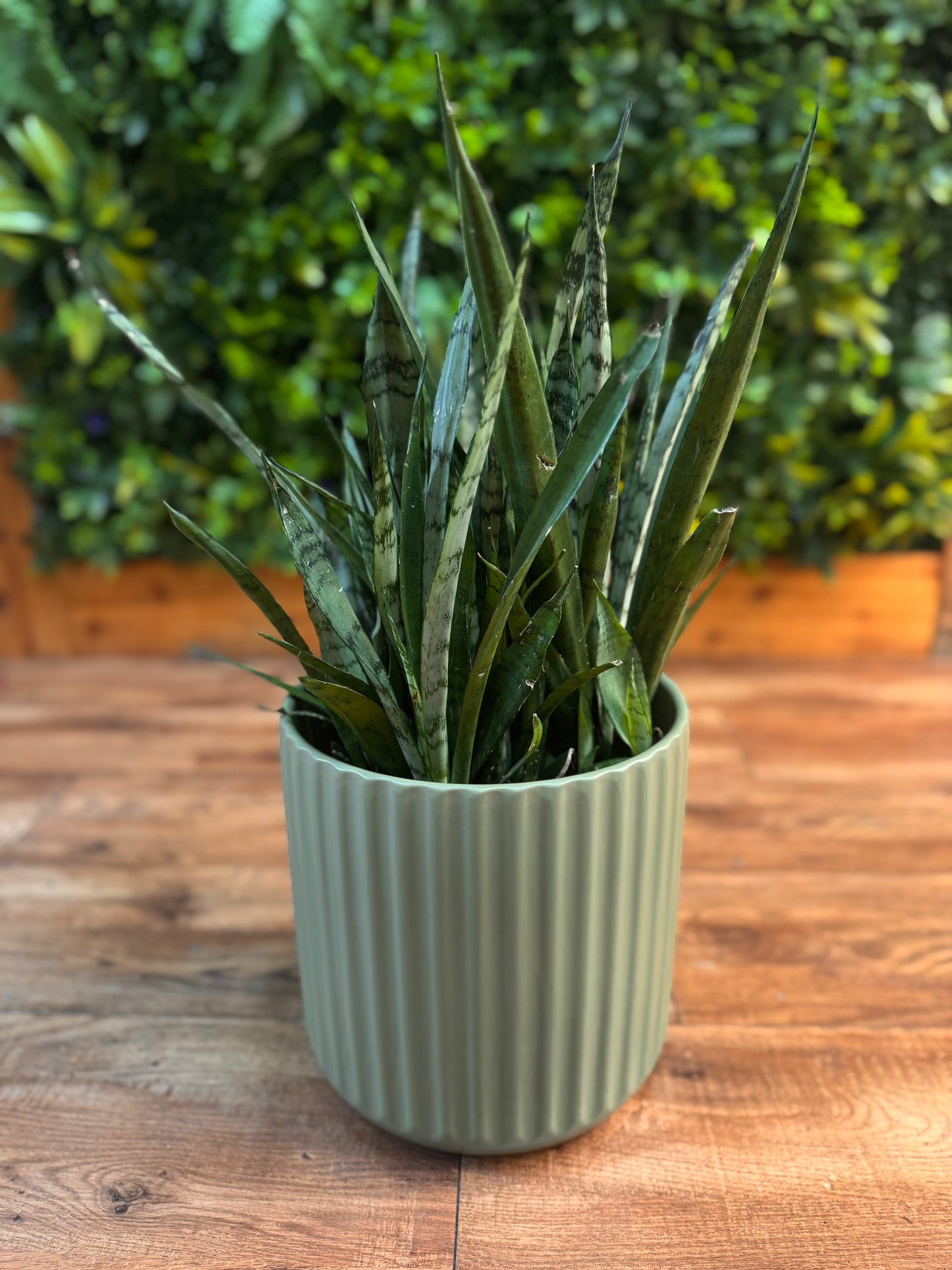Beam Pots - Green