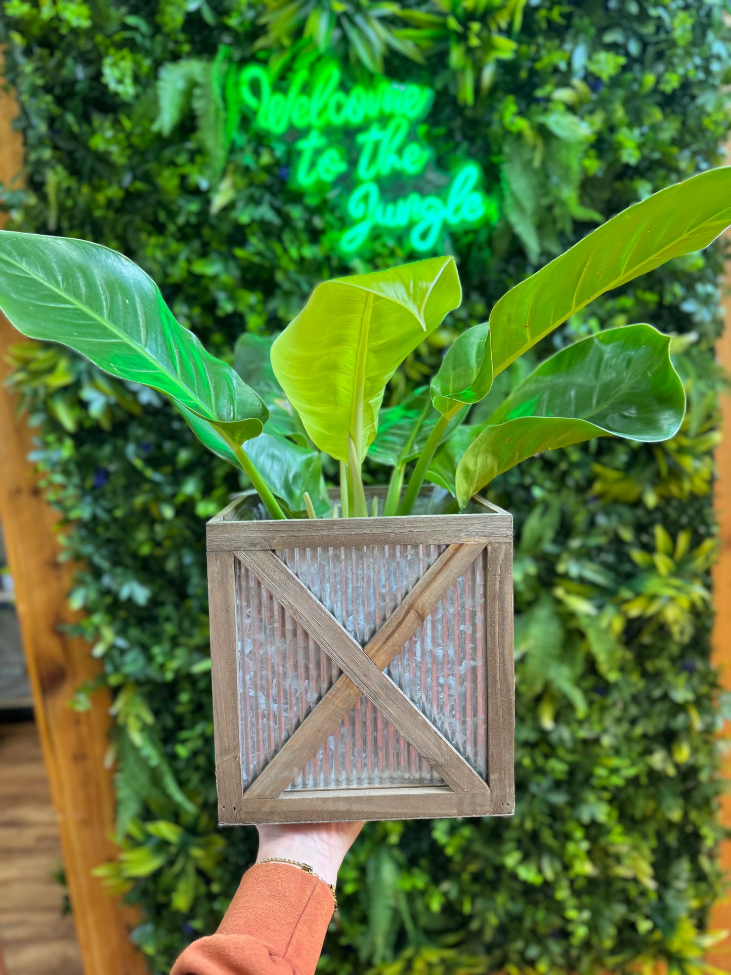 Corrugated Metal Box Pots