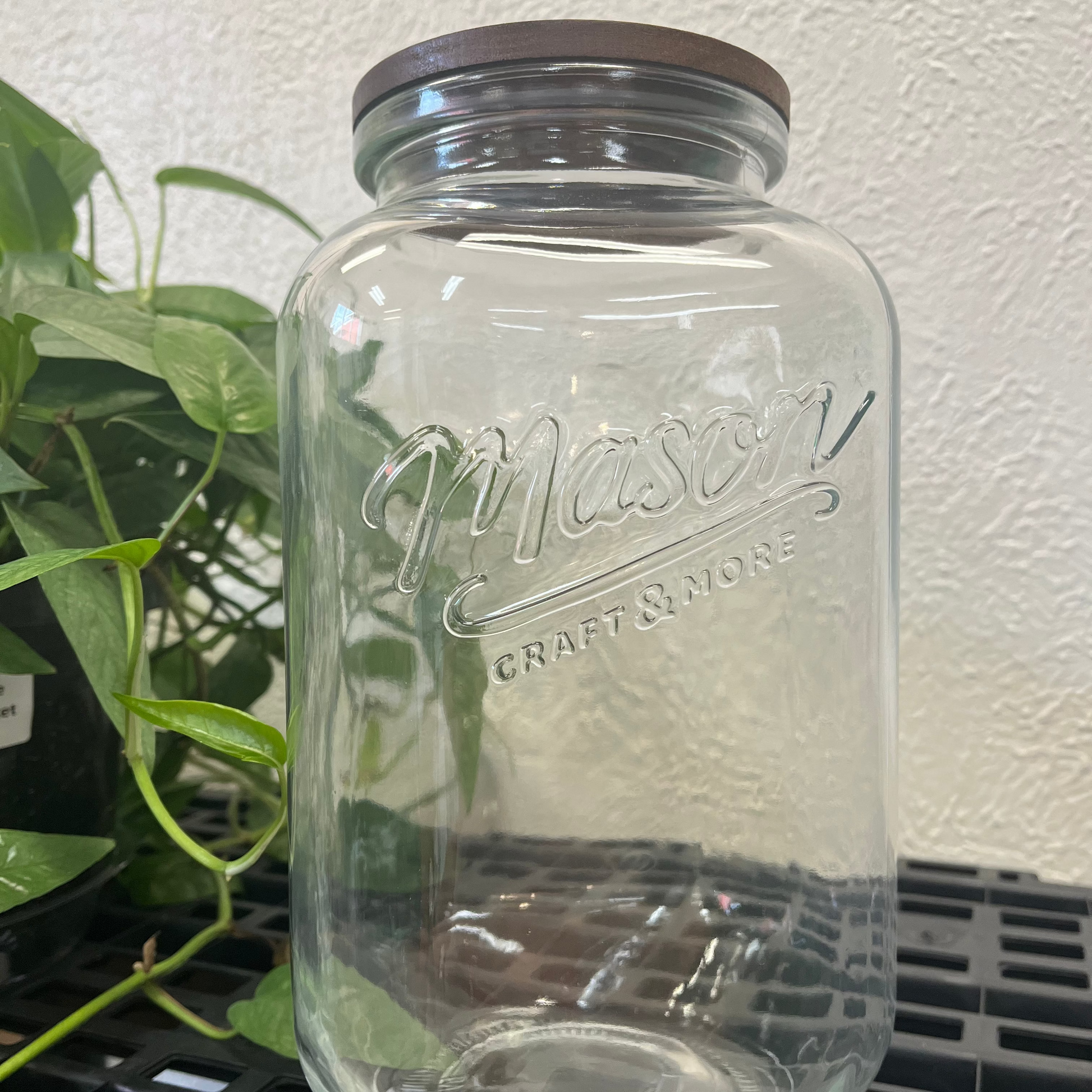 Clear glass mason jar with a brown lid on a white surface with a plant in the background.