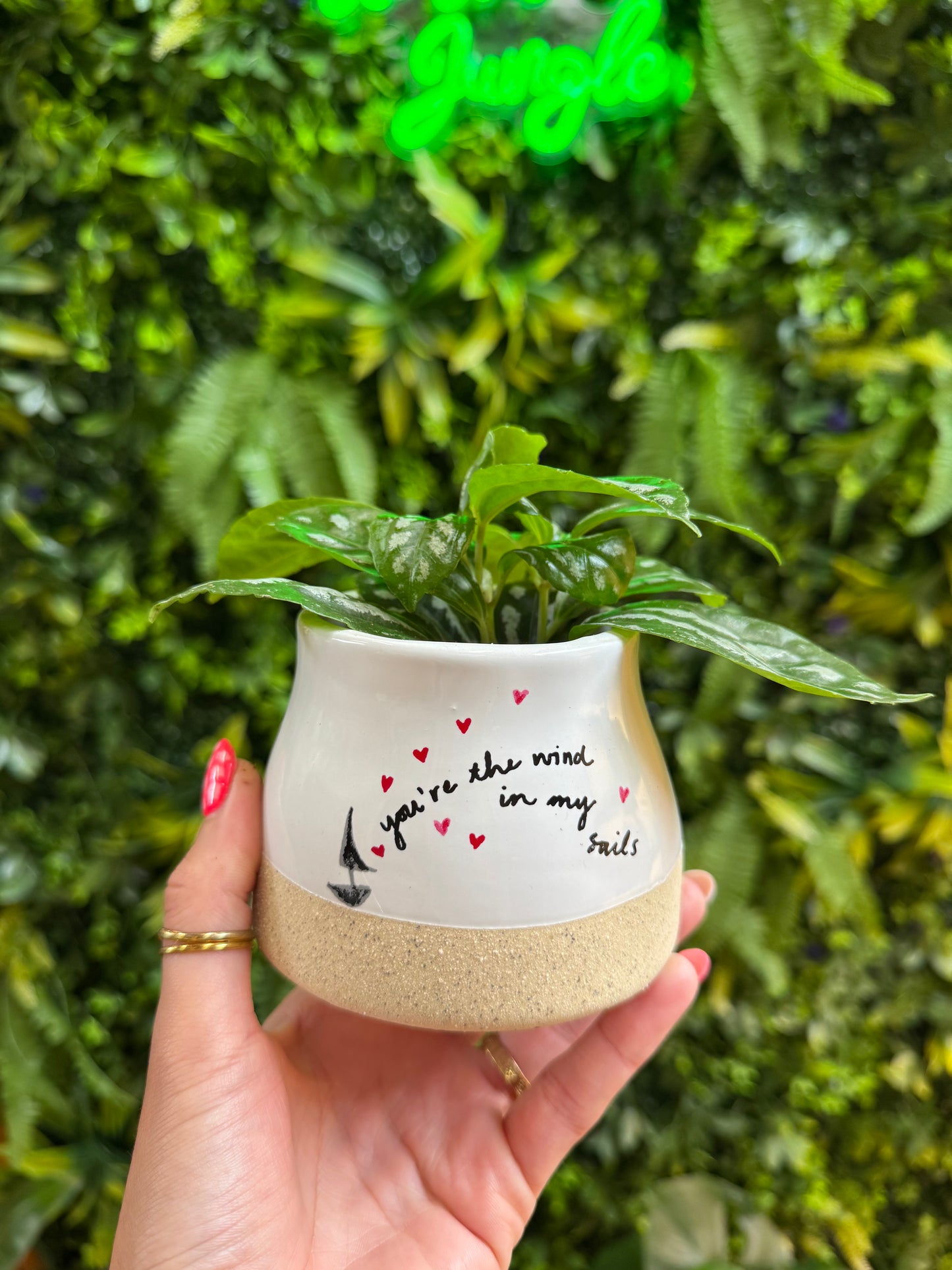 Declarations Pot