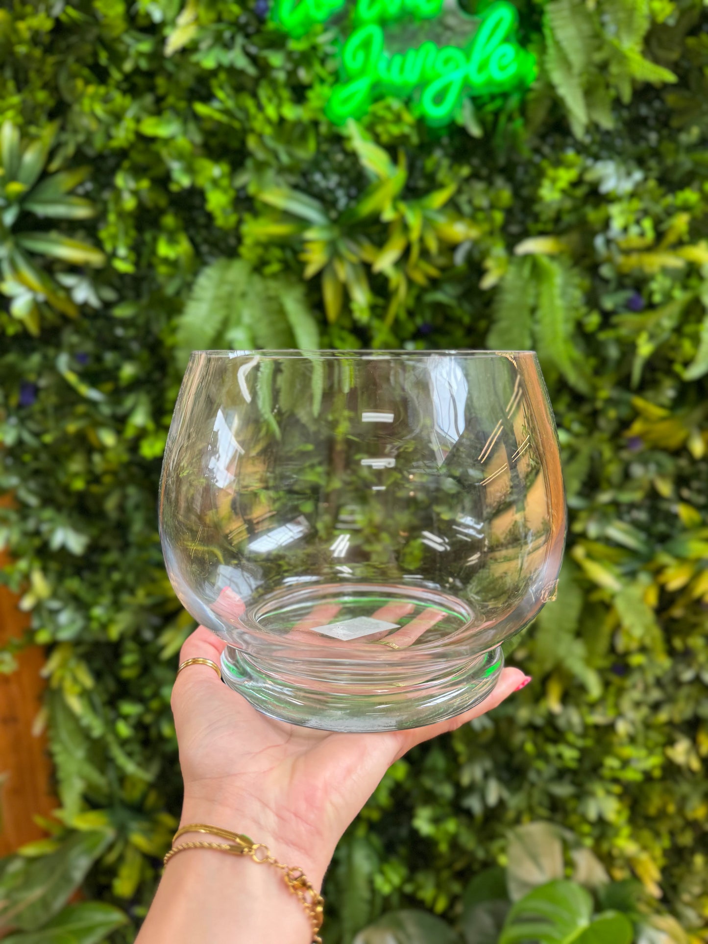 Discovery Terrarium