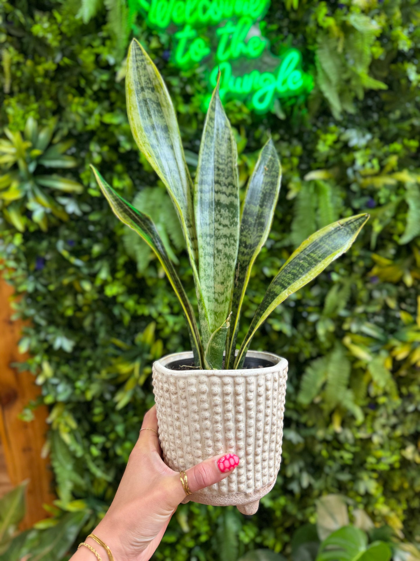Elias Footed Pot