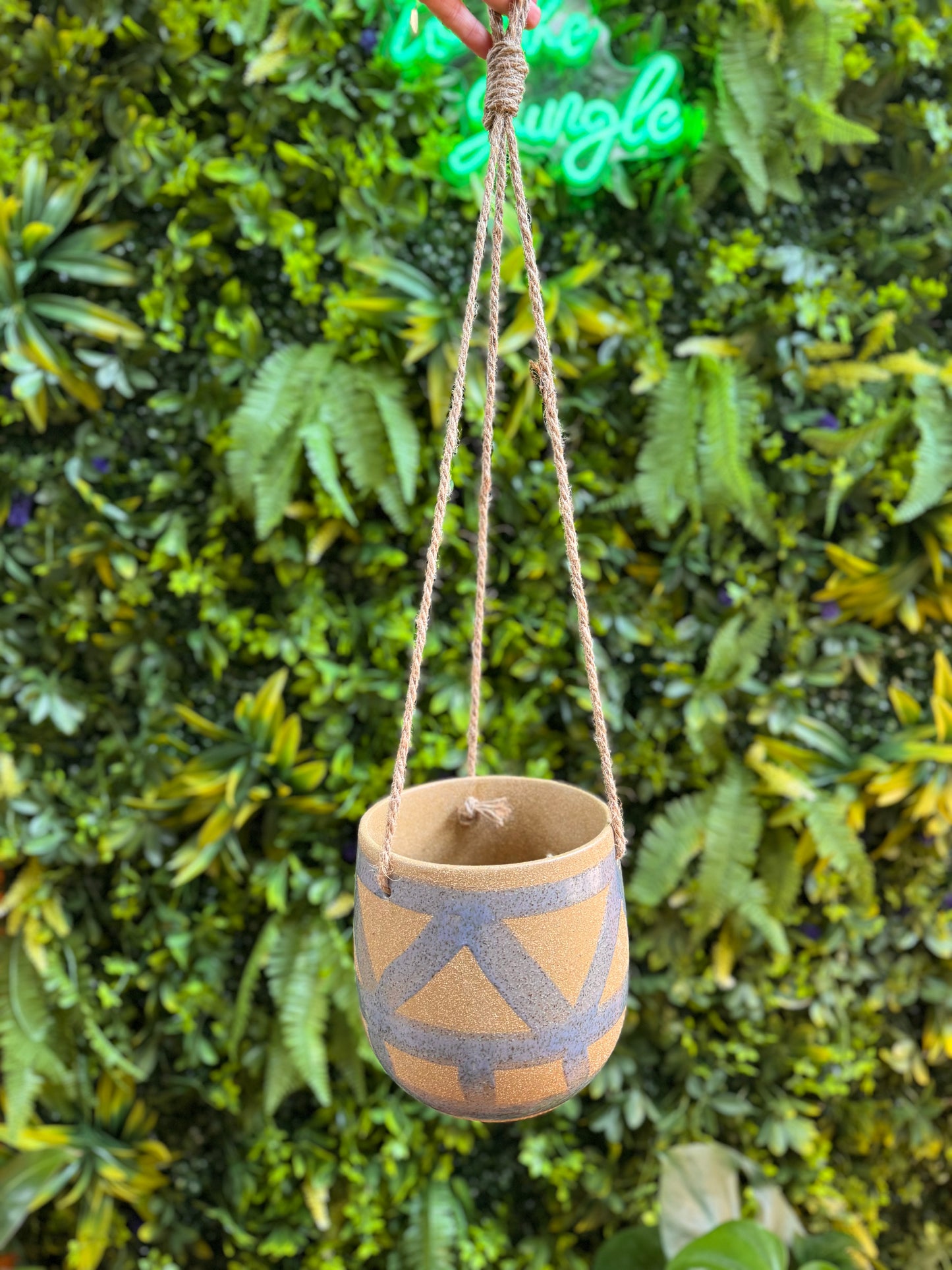 Enola Hanging Pot
