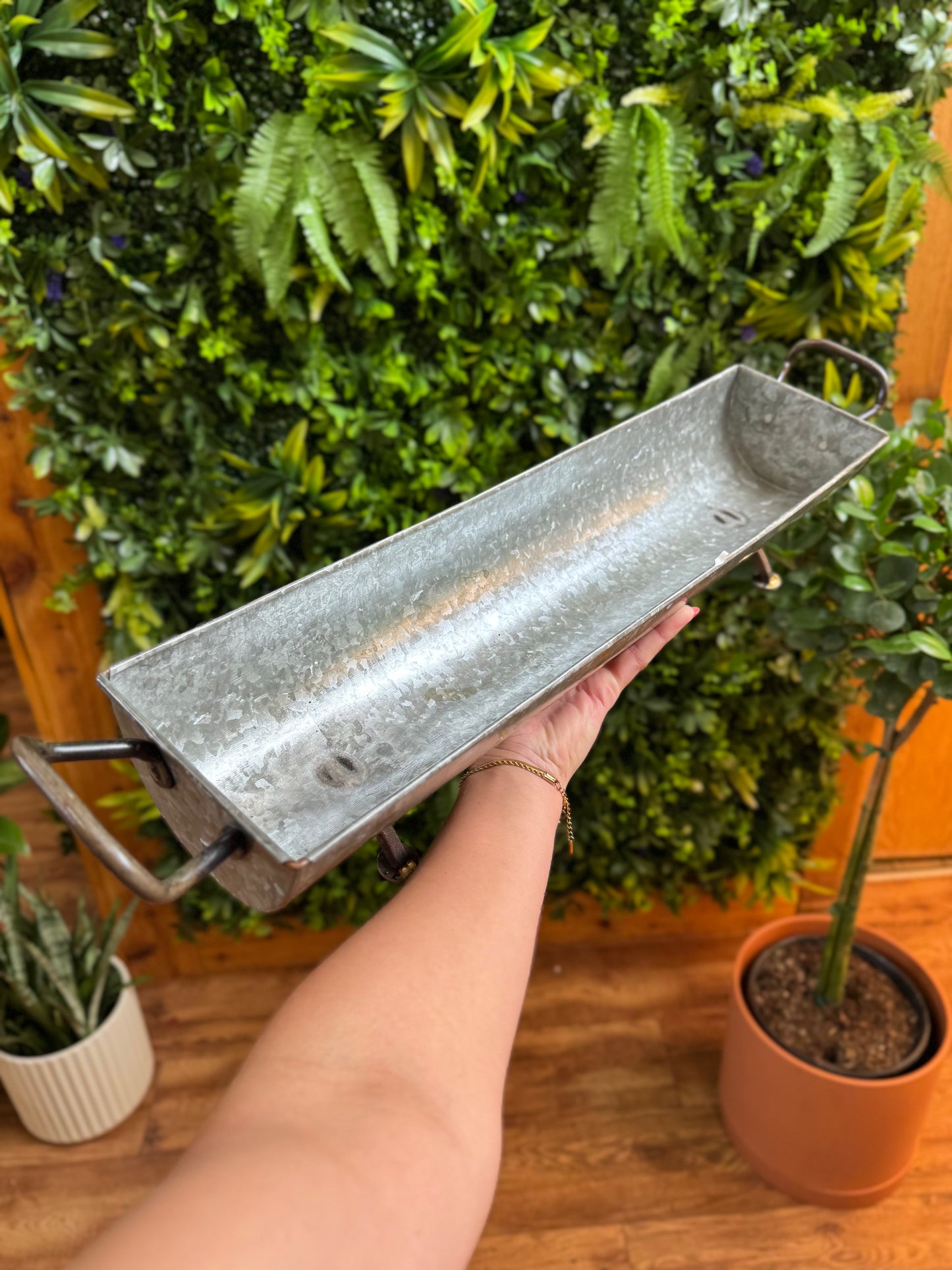 Metal Trough Planter