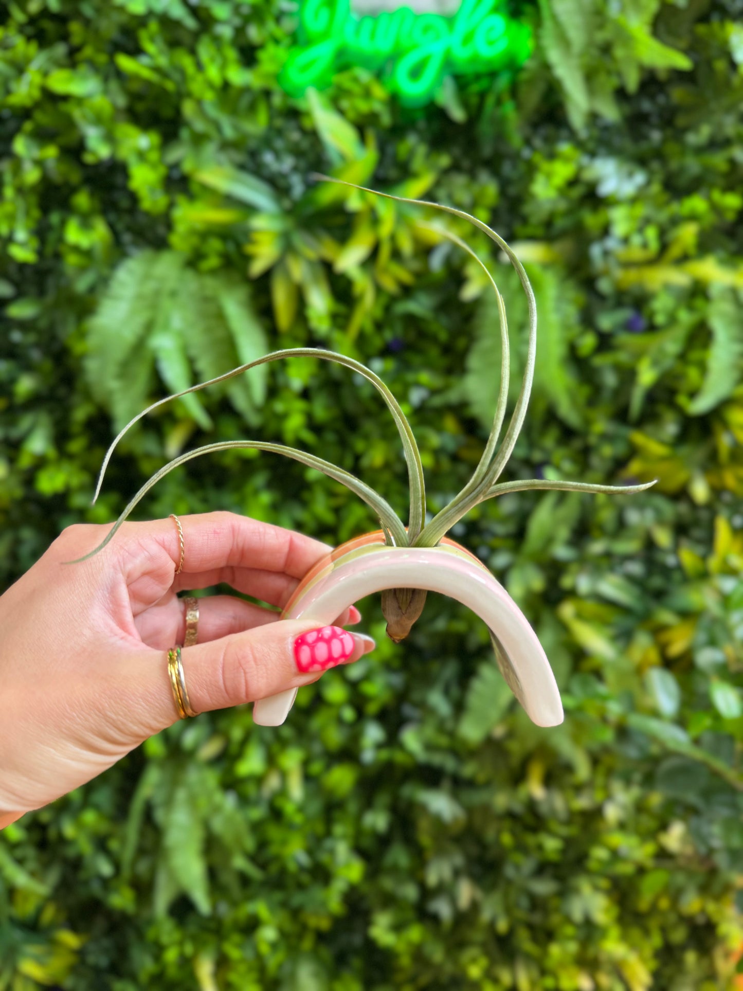 Hope Tillandsia Holder (Air plant holder)