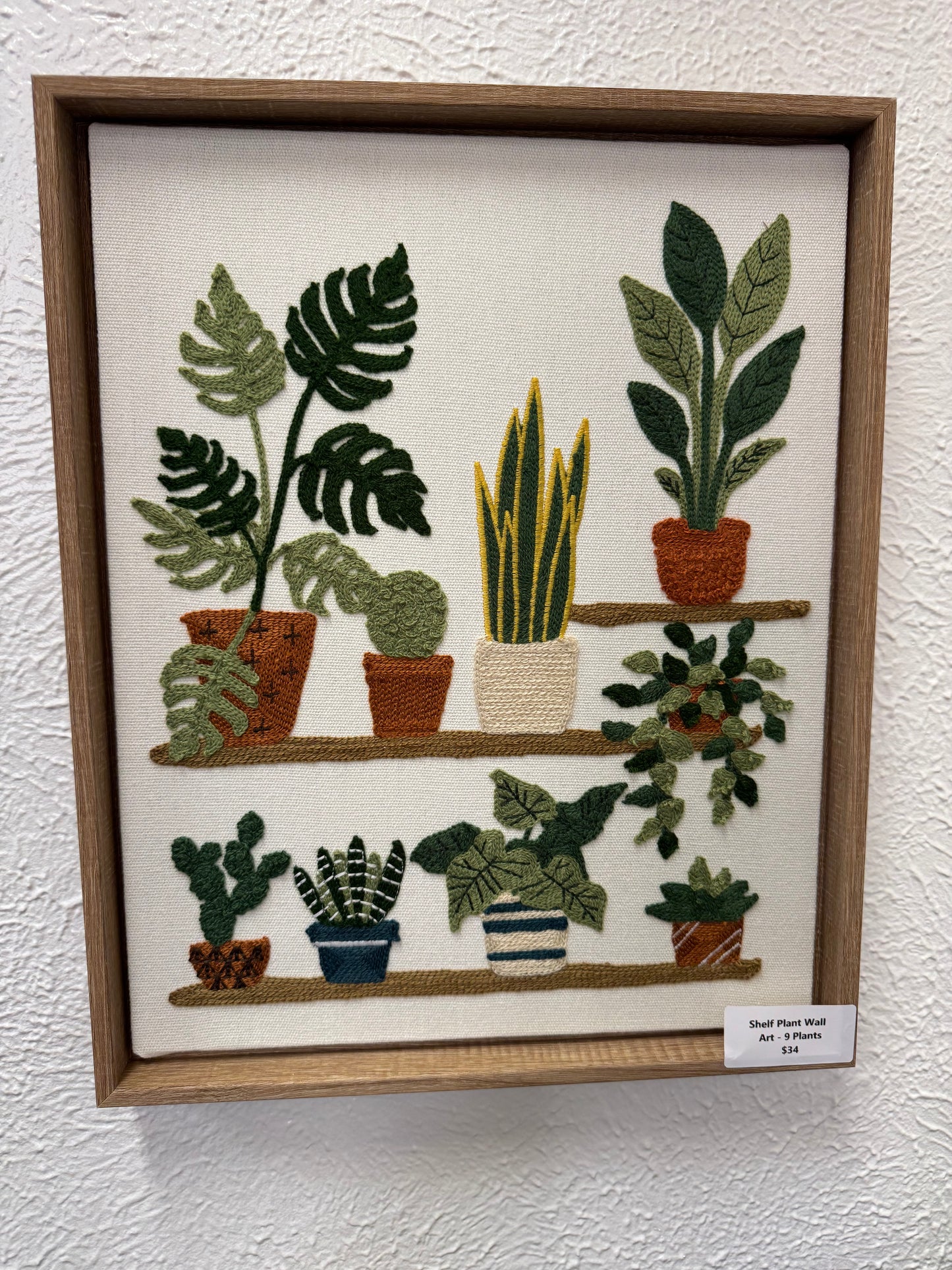 Shelf Plant Wall Art - 9 Plants