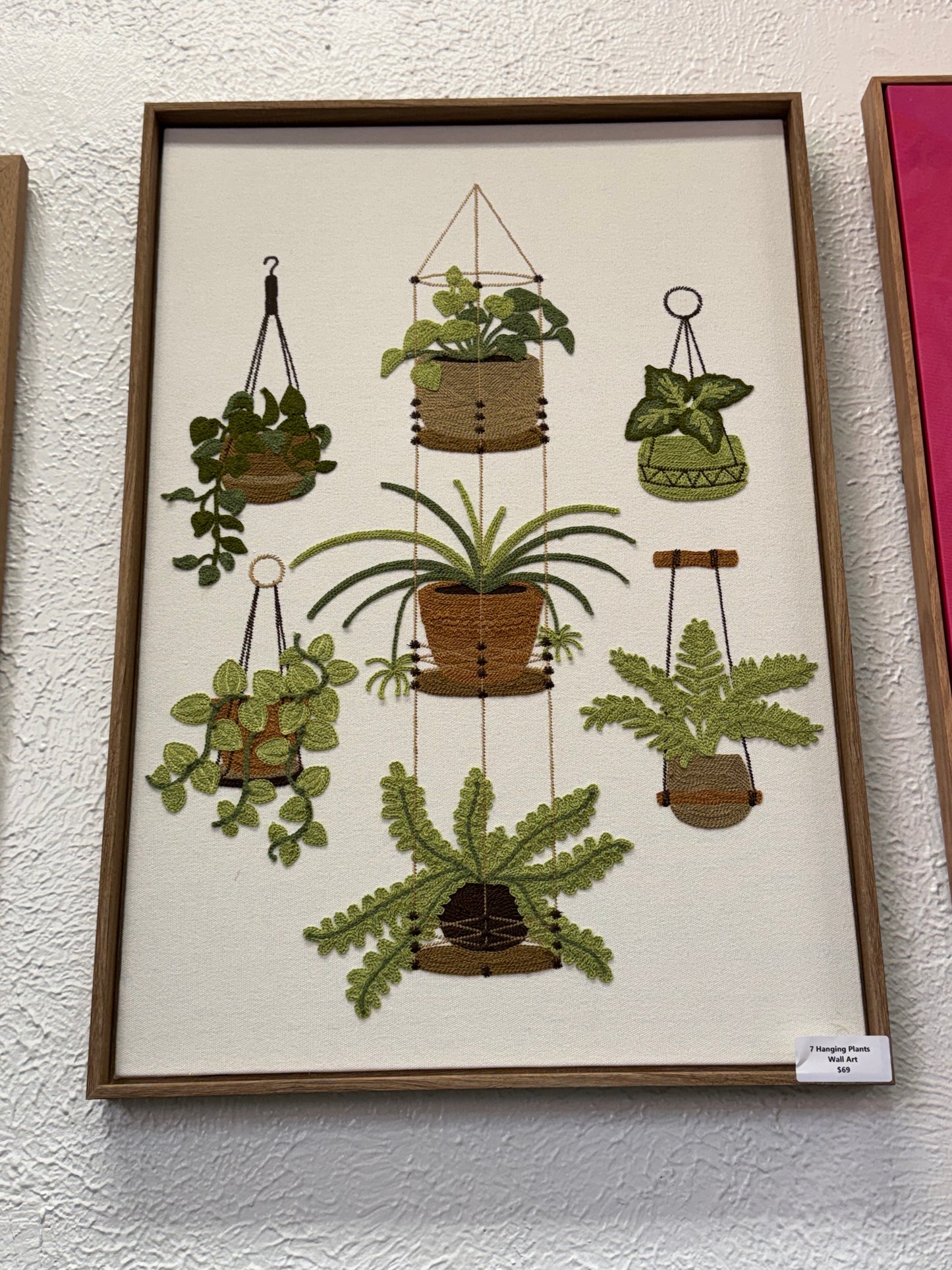 7 Hanging Plants Wall Art