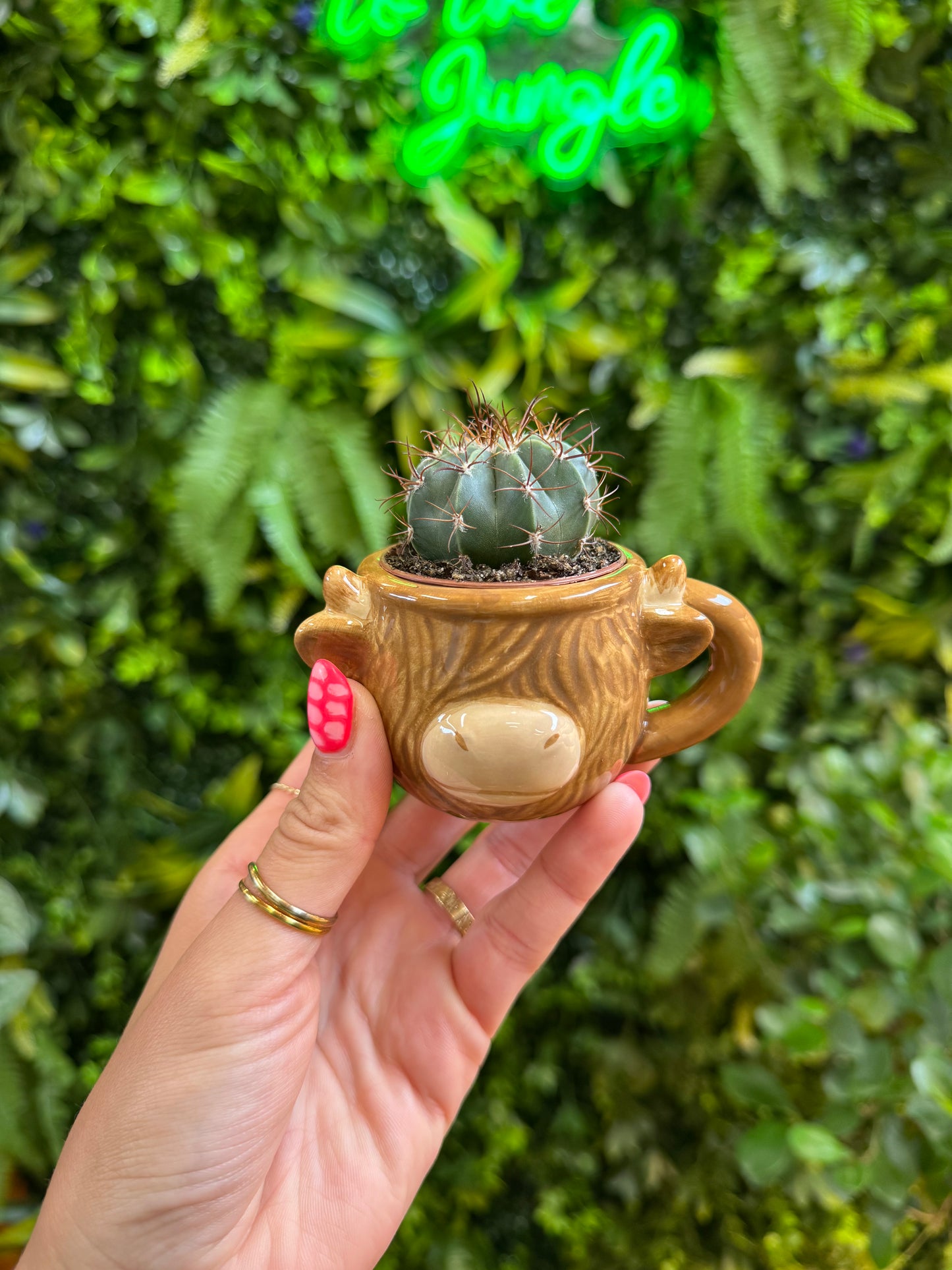 Cow & Cactus