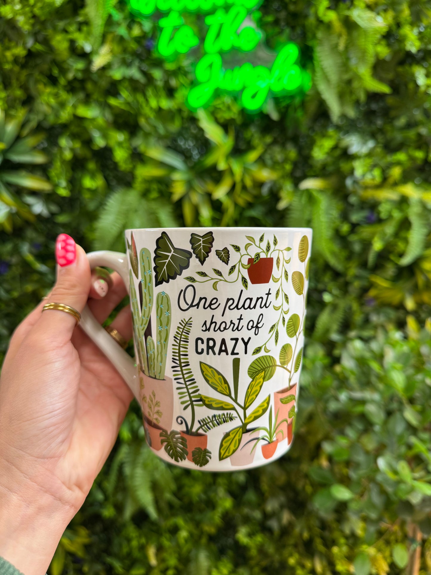 One Plant Short of Crazy Mug Pot
