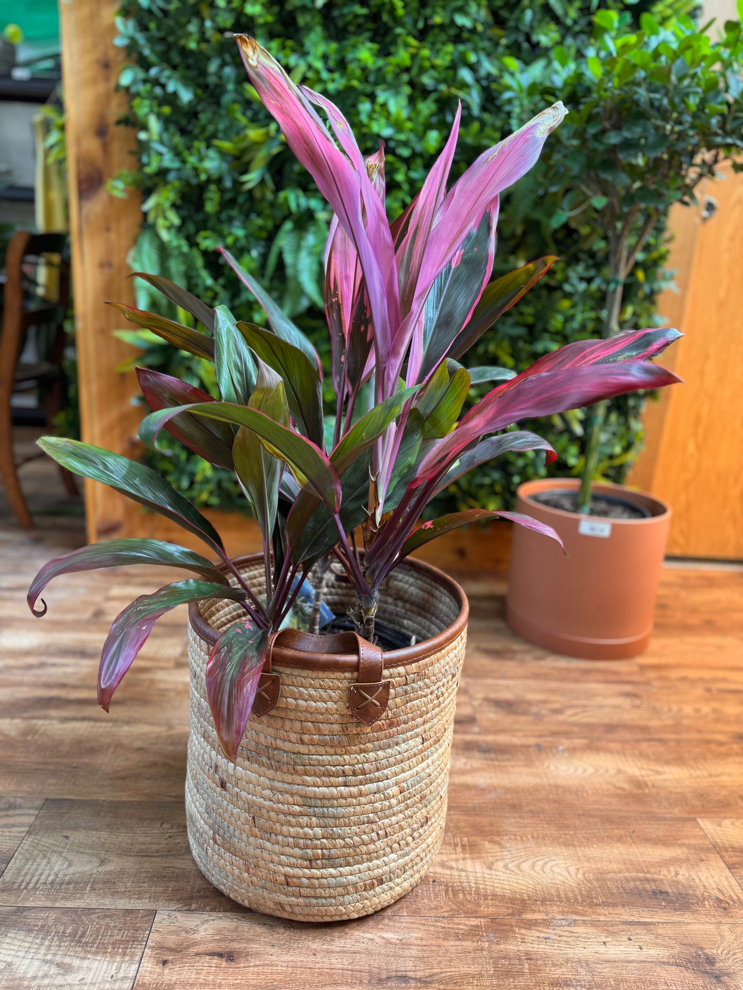 Woven Basket Pot Holder