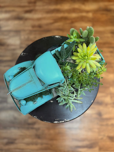 Vintage Blue Pick-Up Truck Succulent Assortment