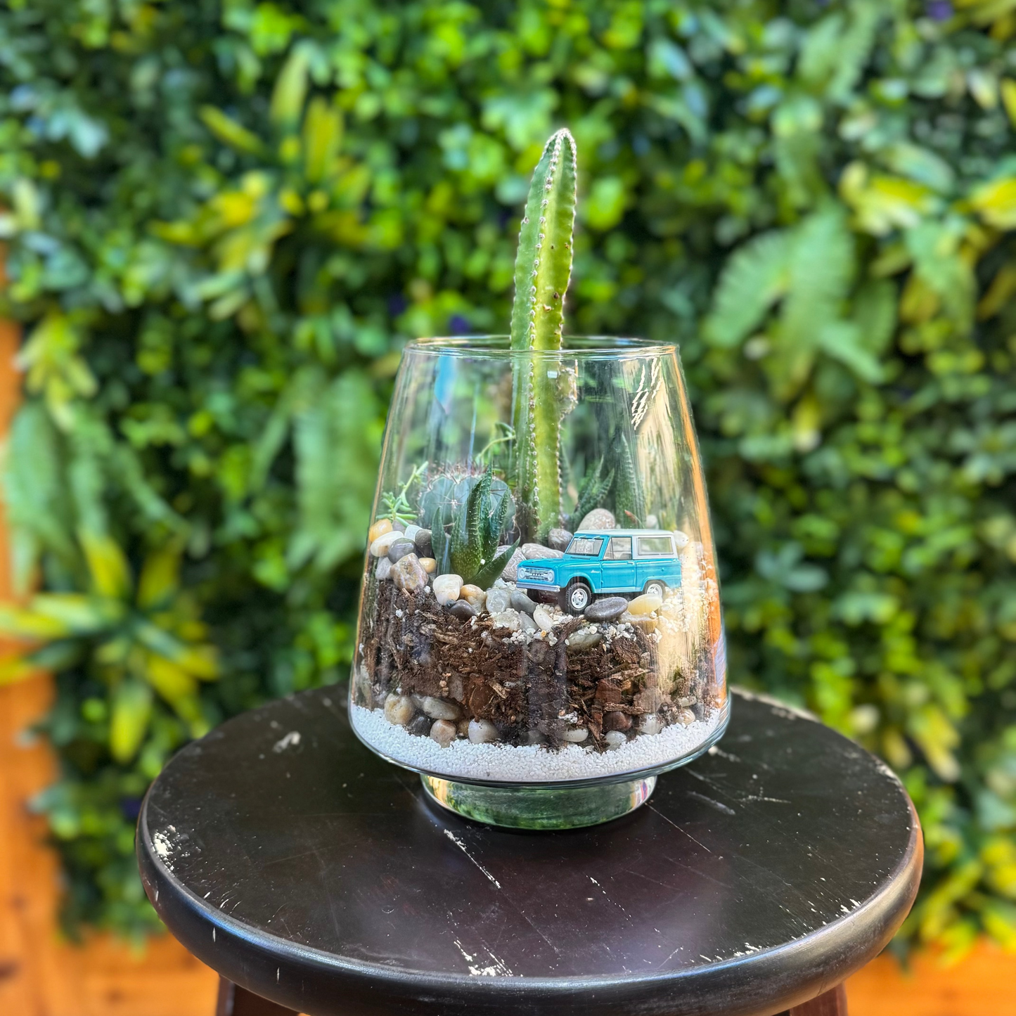 Bronco truck Assorted Cactus & Succulent Terrarium