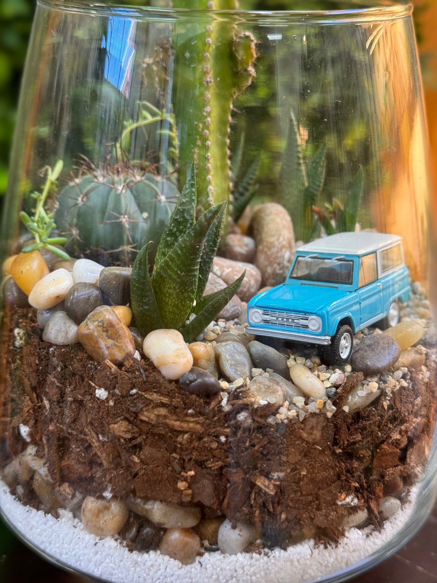 Bronco truck Assorted Cactus & Succulent Terrarium