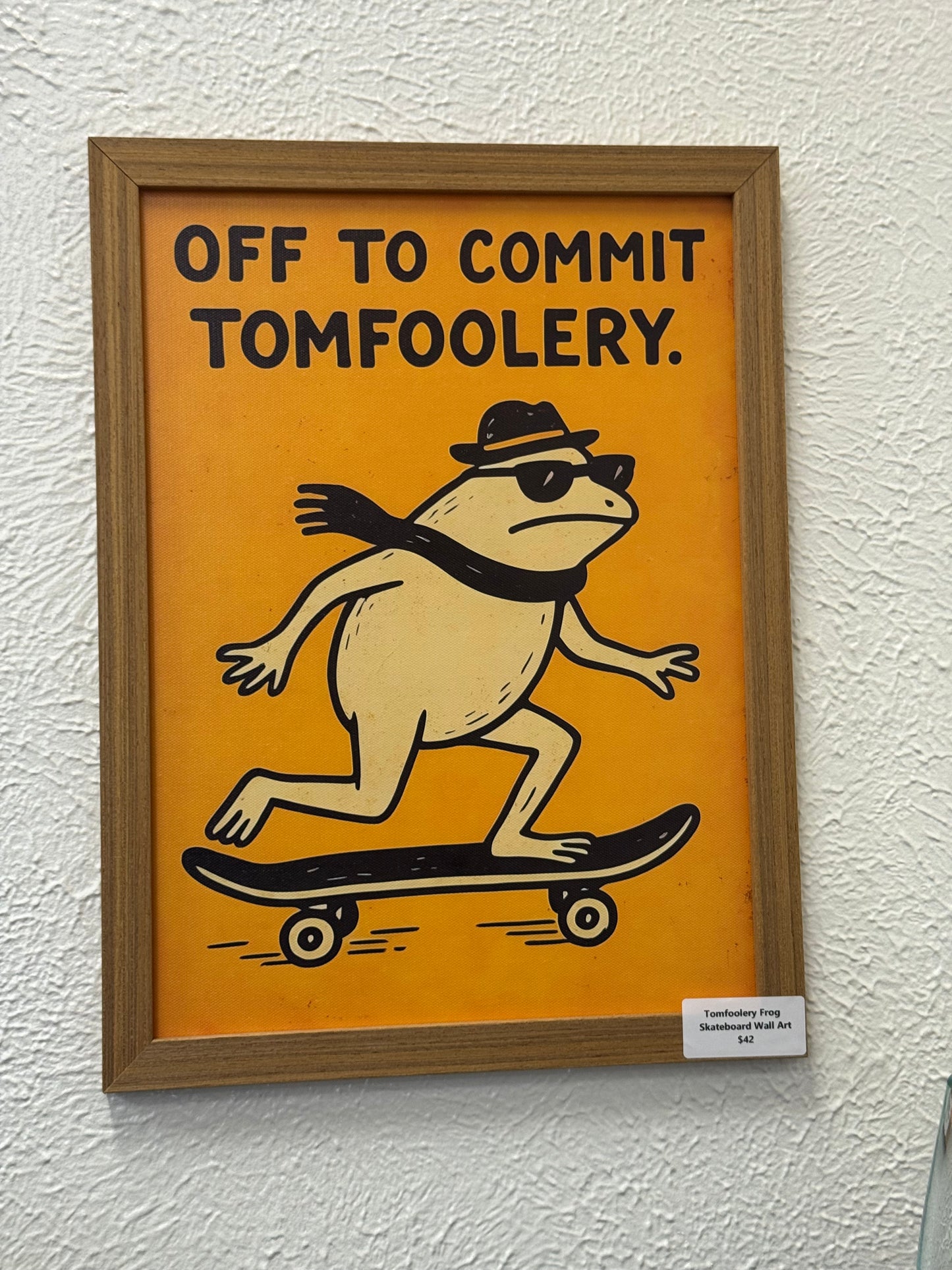 Tomfoolery Frog Skateboard Wall Art
