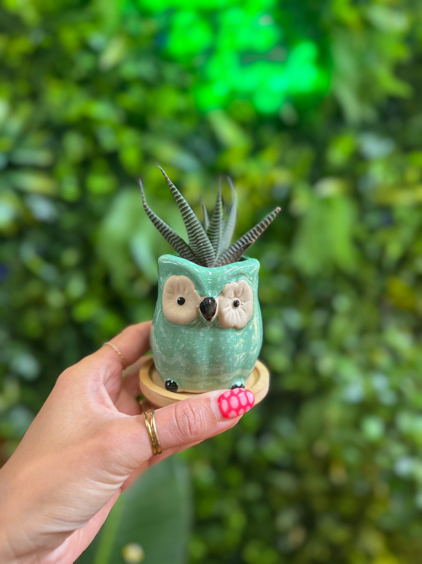 2.5" Owl Ceramic Pot with Saucer