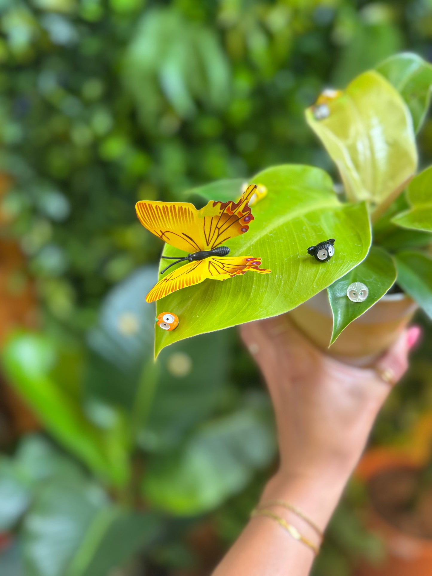 Butterfly Plant Magnet