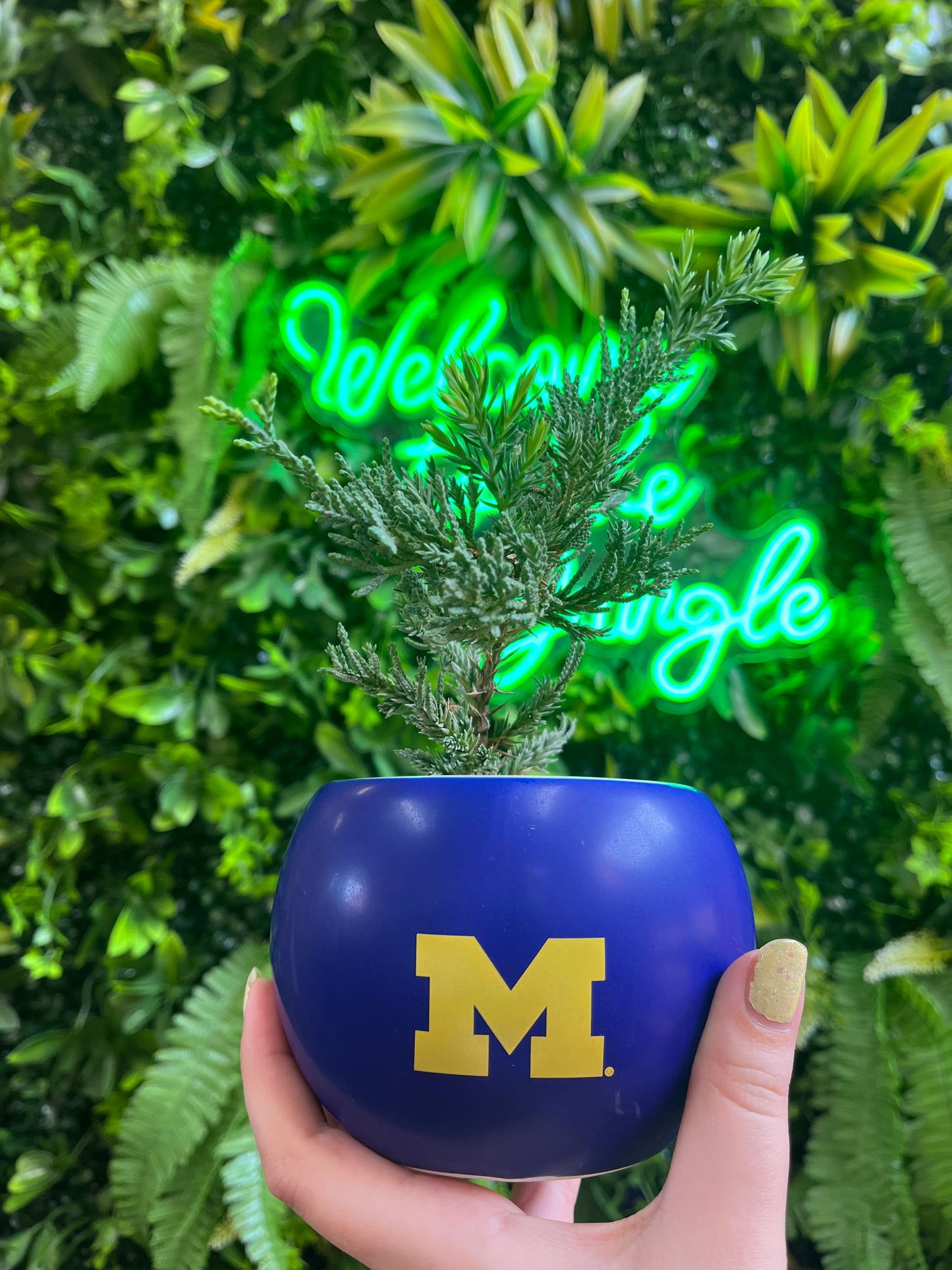 University of Michigan Mug / Pot