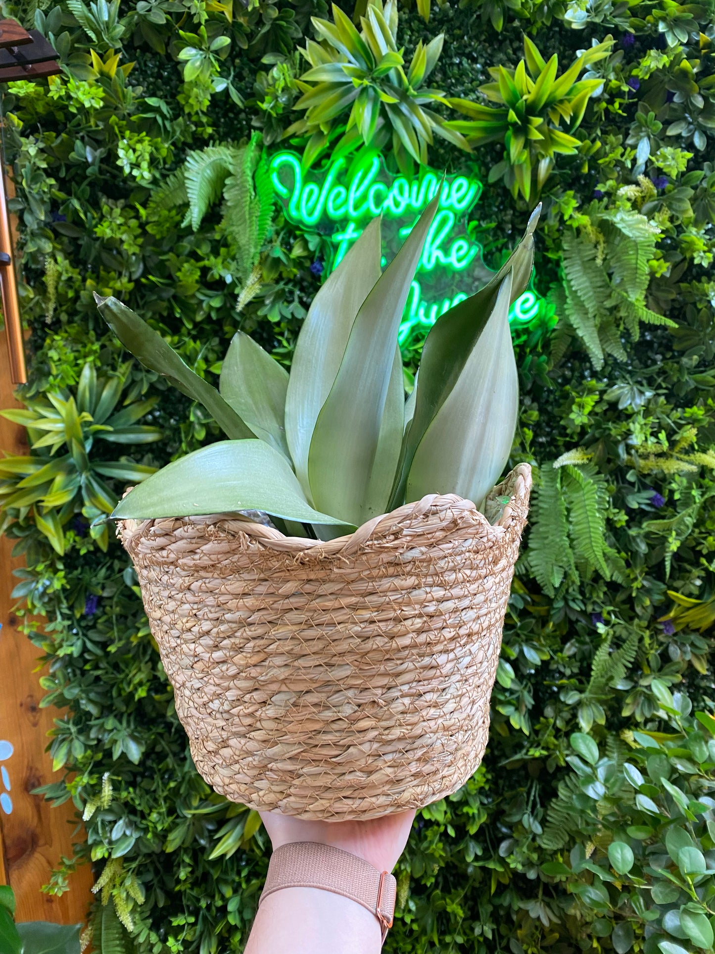 Seagrass Wicker Planter