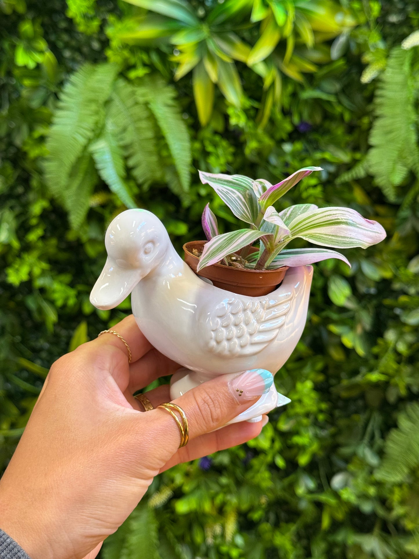 Duck Ceramic Pot
