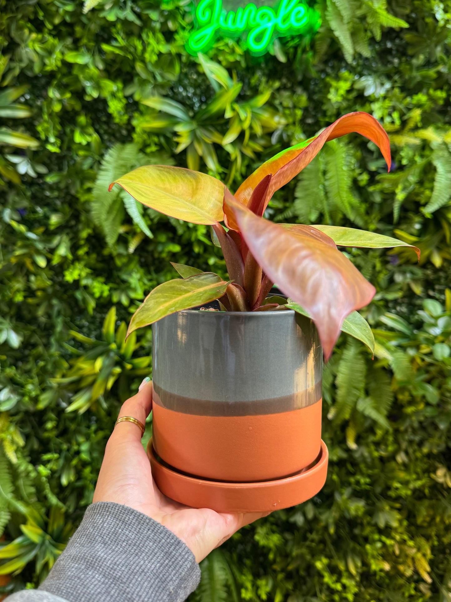 Minute Ceramic Pot And Saucer Set