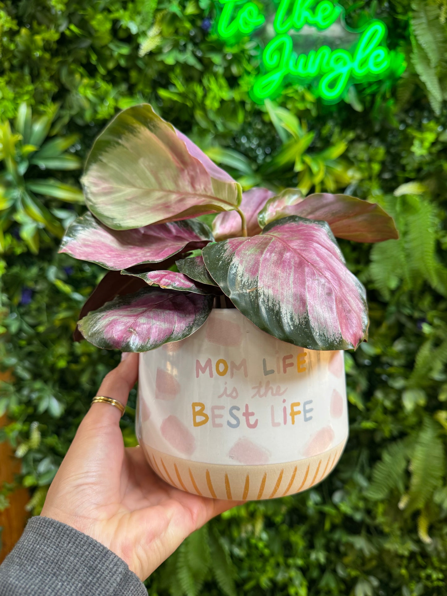 Motherhood Pot