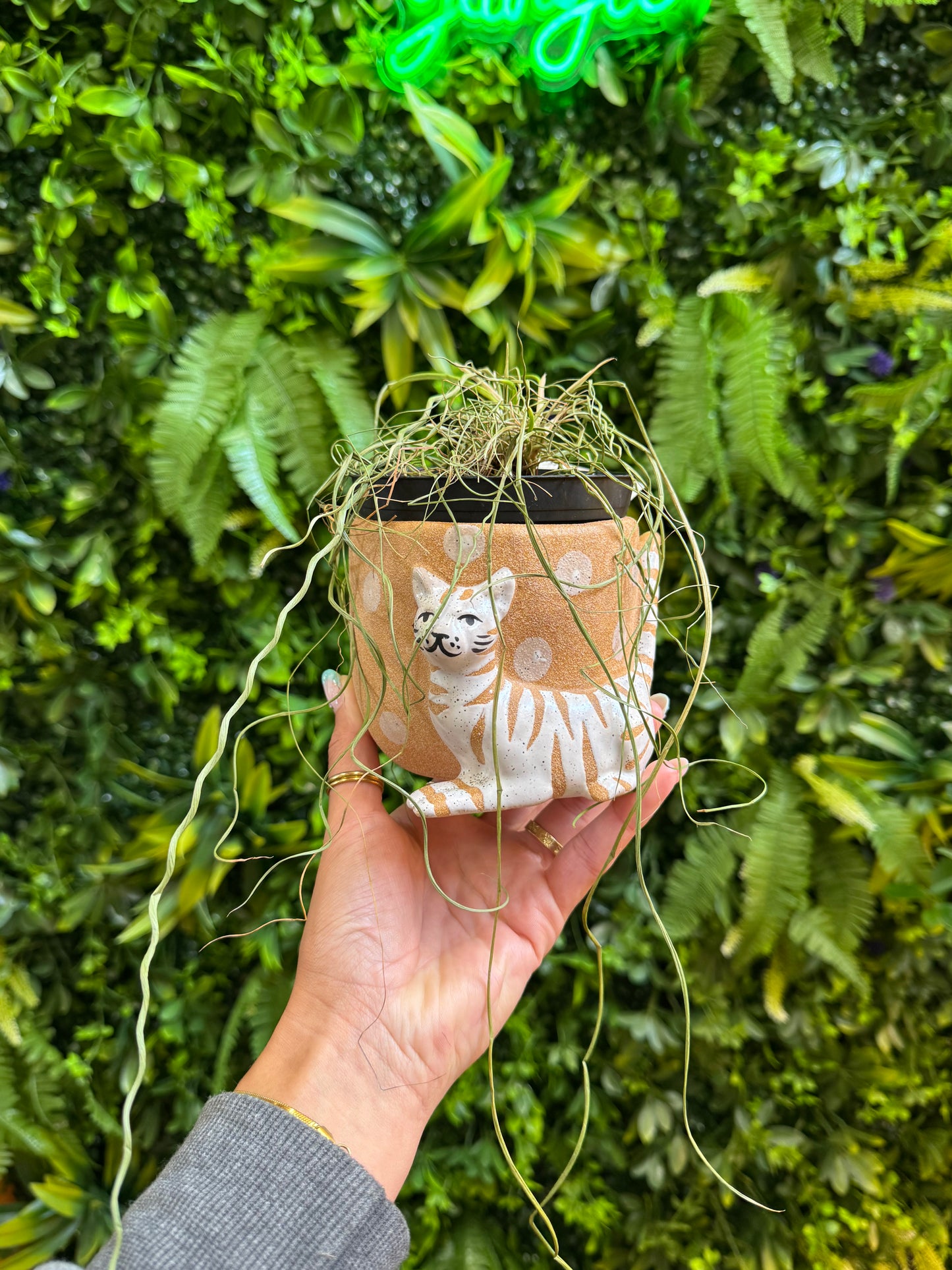 Pampered Pet Pot