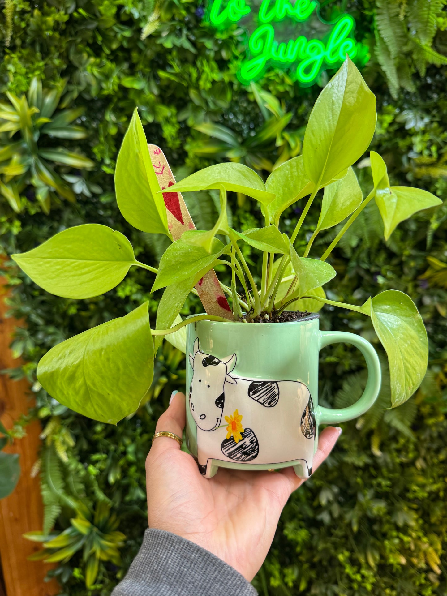 Green Cow Mug Pot