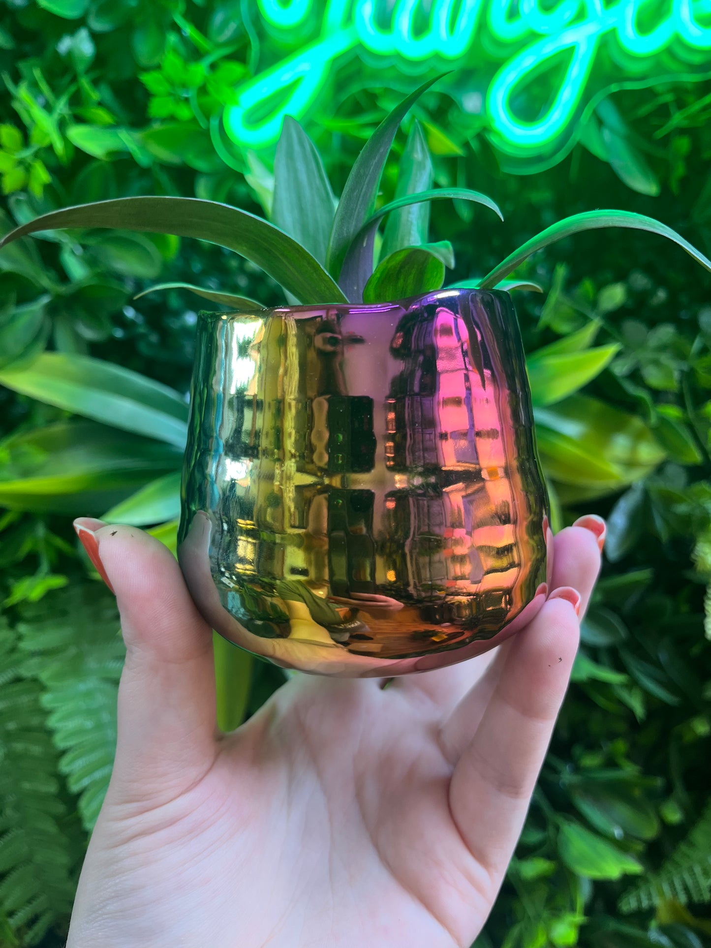 Tegan Pots - Iridecent