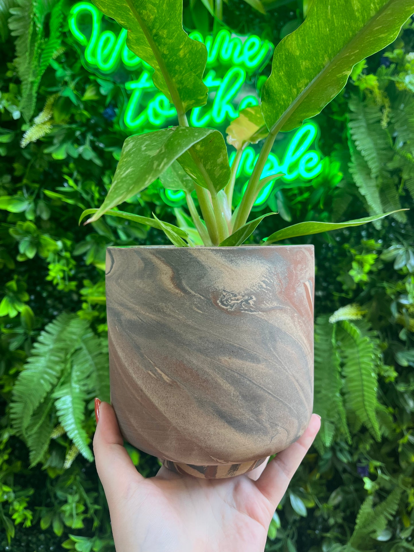 Tedros Pot