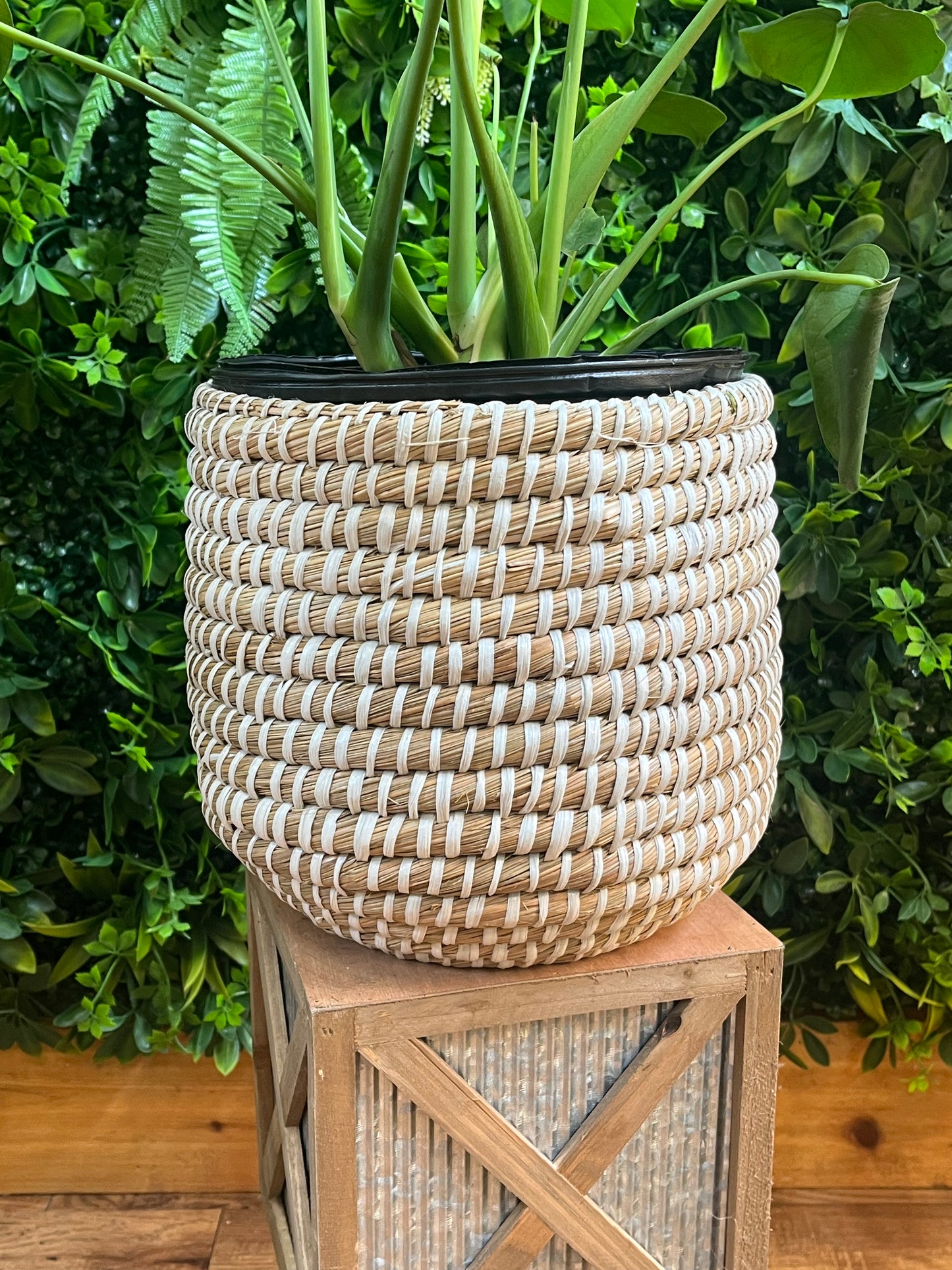 Tejida Basket
