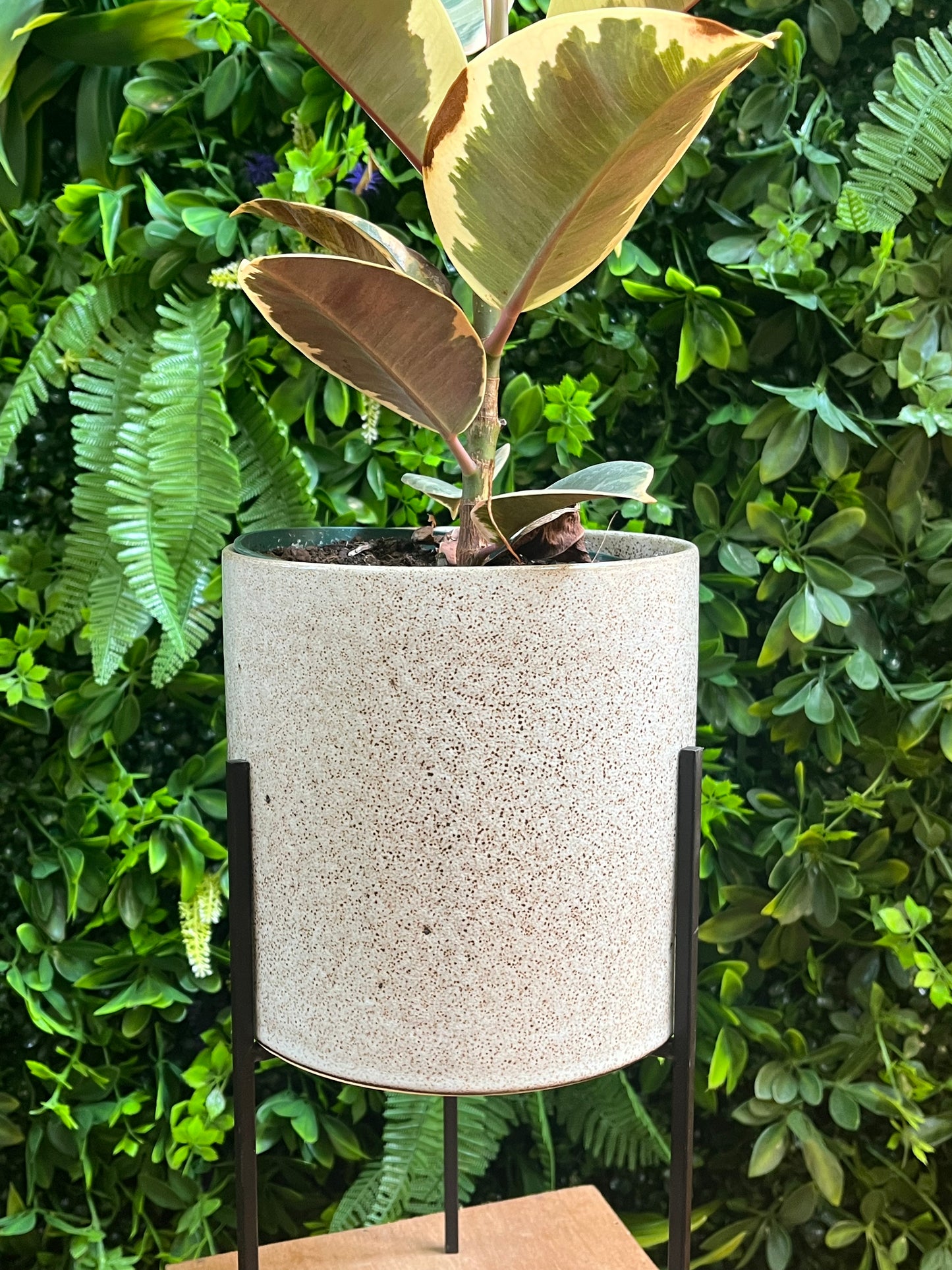 Veranda Pot with Stand
