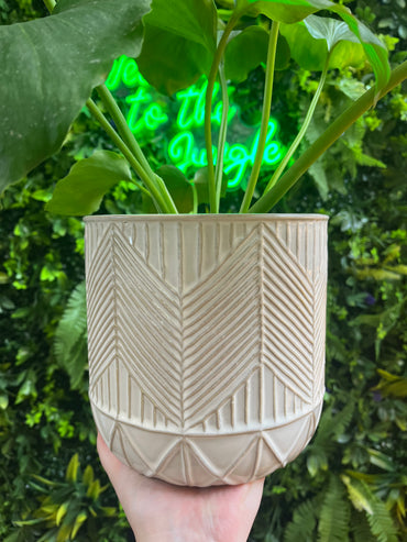Whitcomb Pot