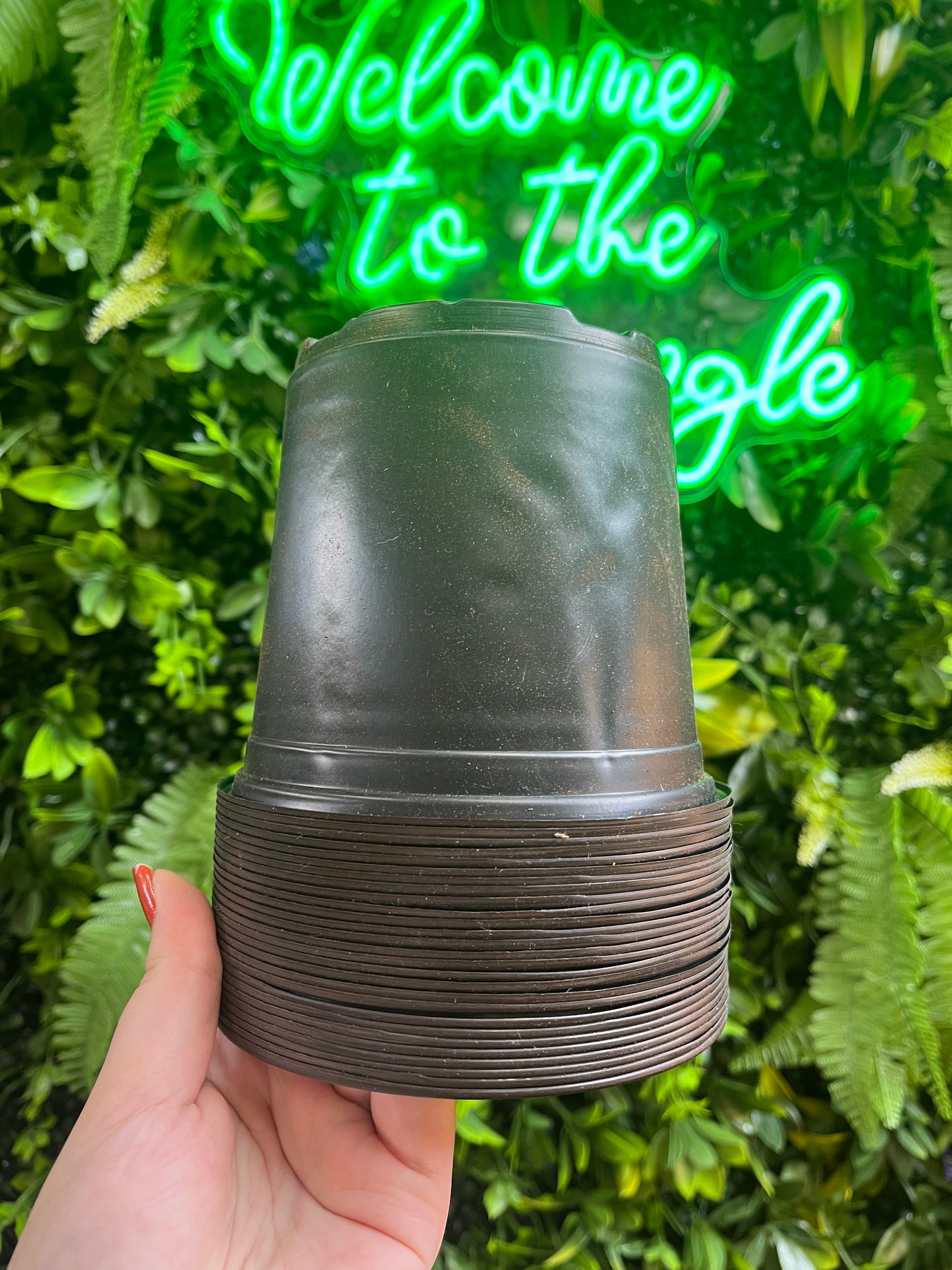 Nursery Pot - 5"