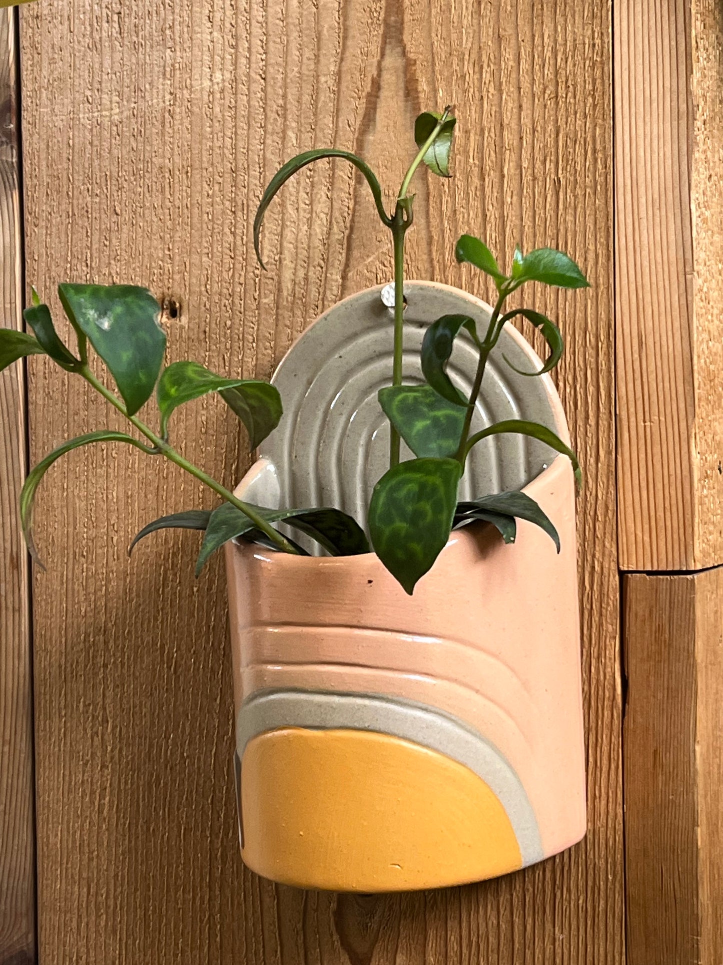 Vada Wall Pot
