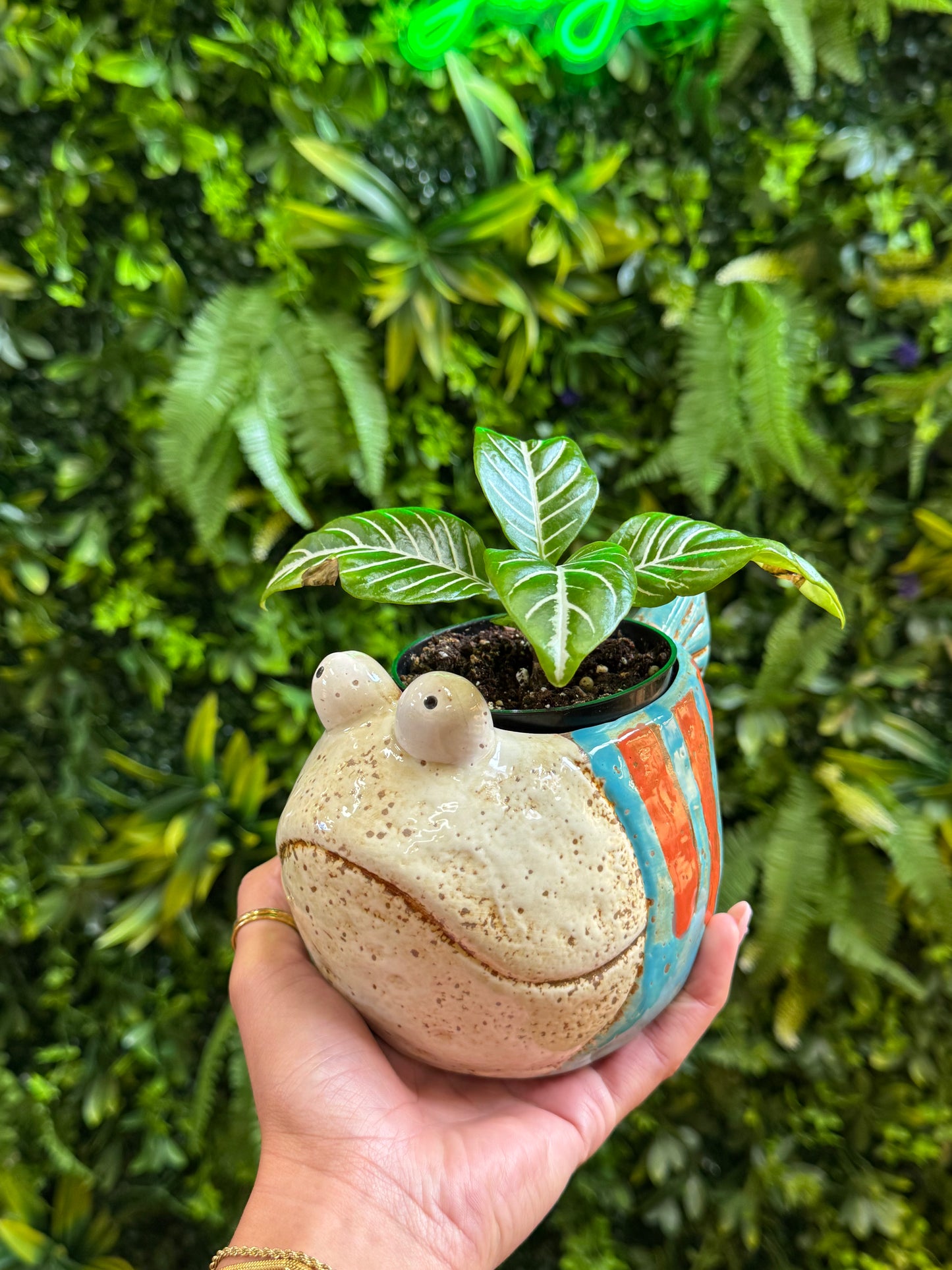 Frumpy Blue Orange Fish Pot