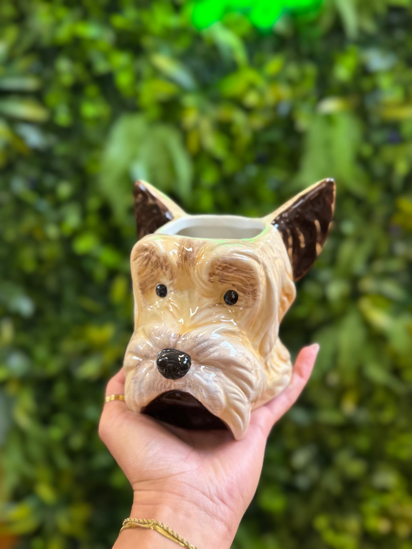 Terrier Dog Pot