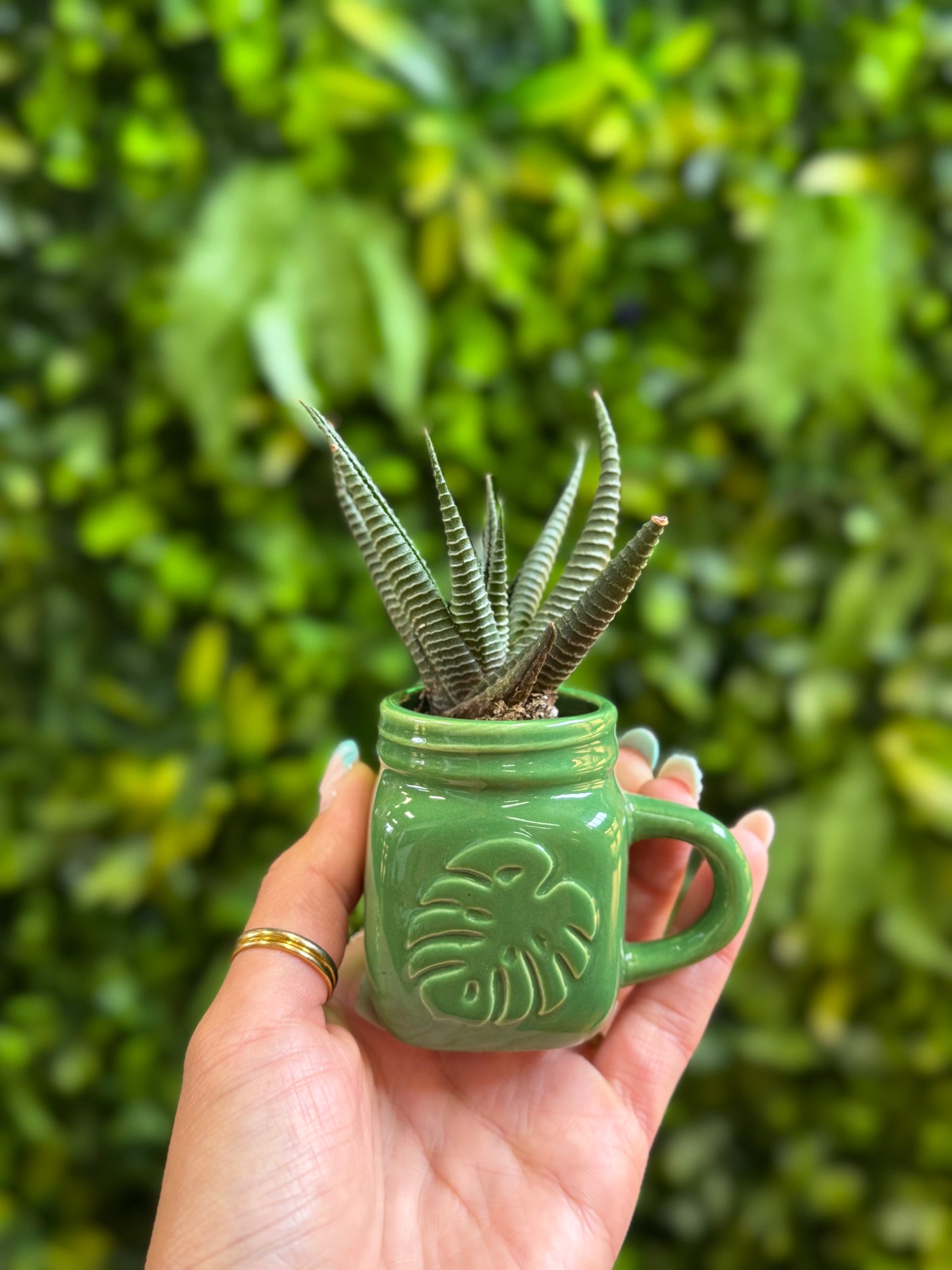Mini Green Monstera Leaf Pot