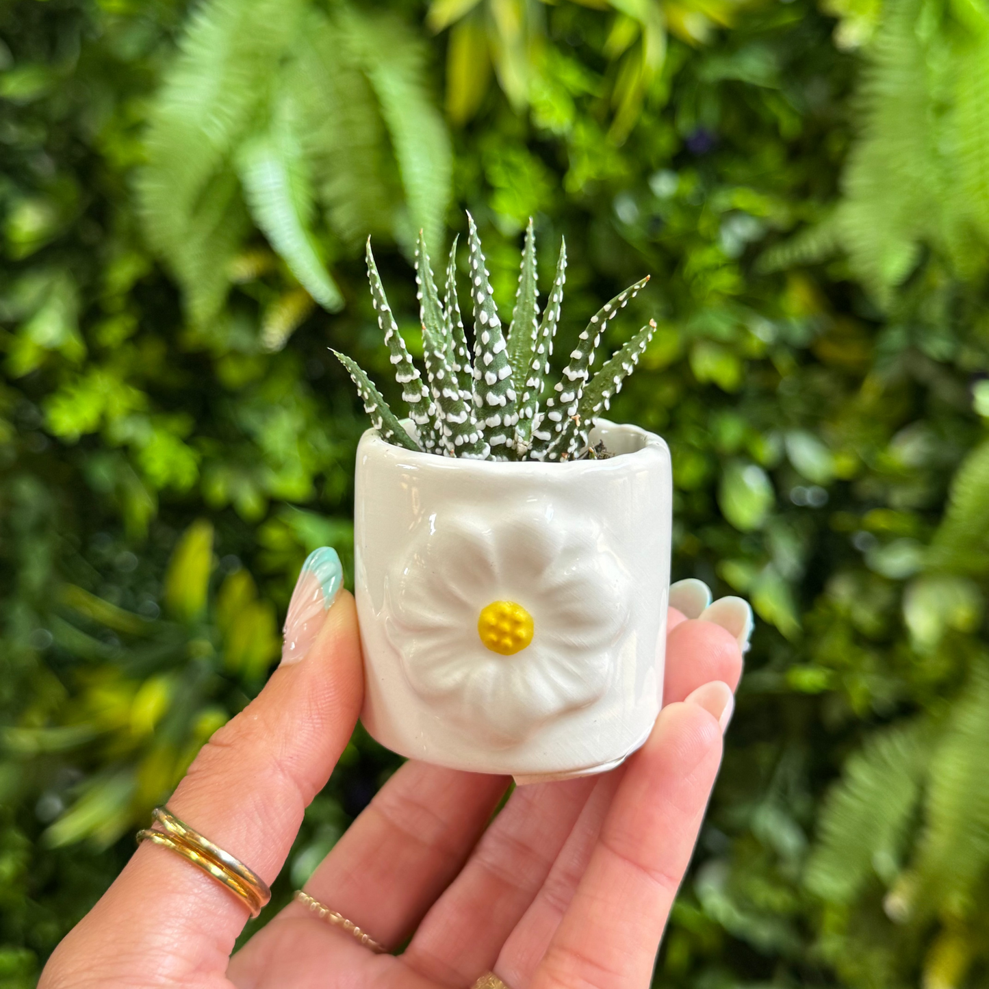 Mini Flower Mug Pot