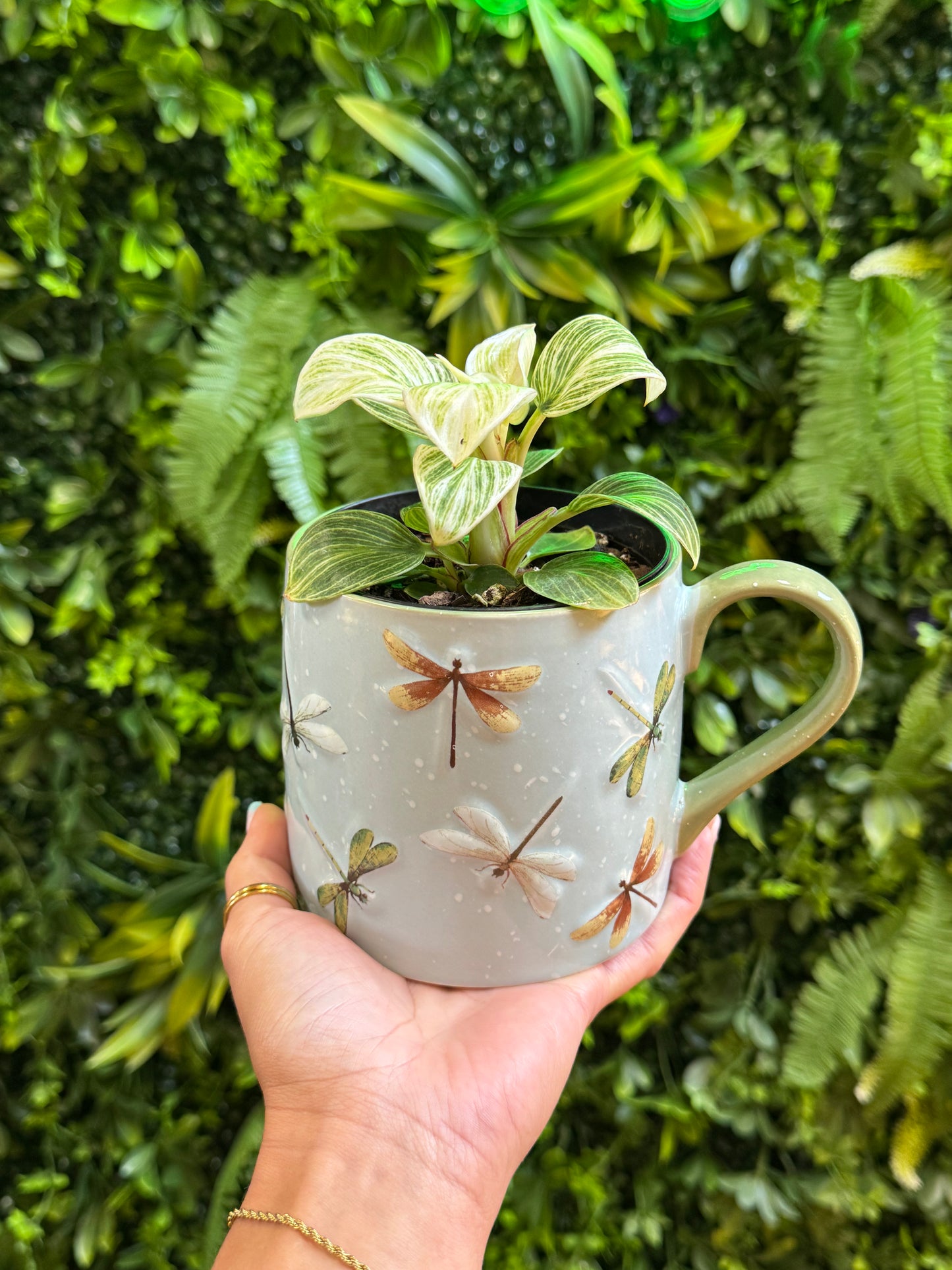 Dragonfly Mug Pot