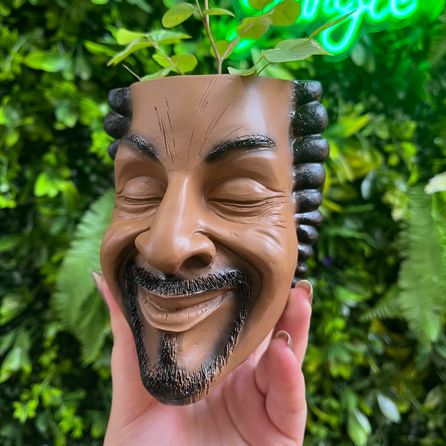 Cool Face Planter
