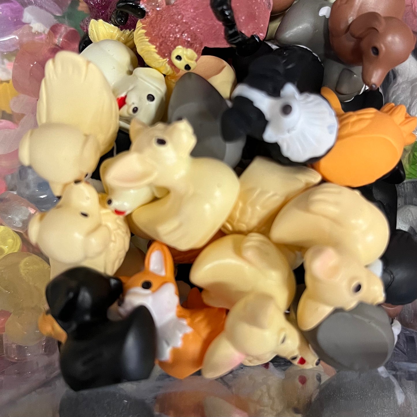 Dog Duck Trinket