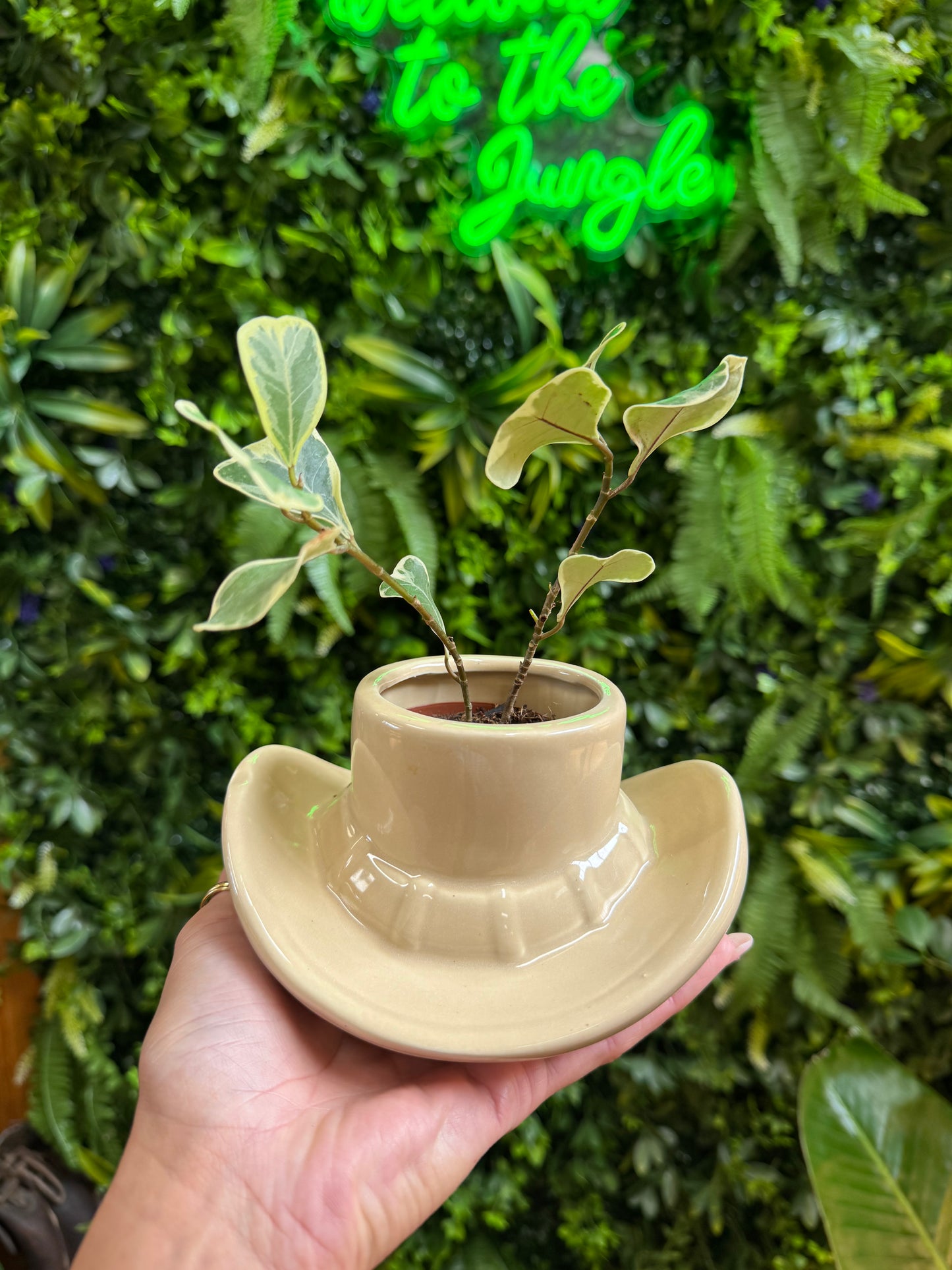 2.5" Cowboy Hat Pot