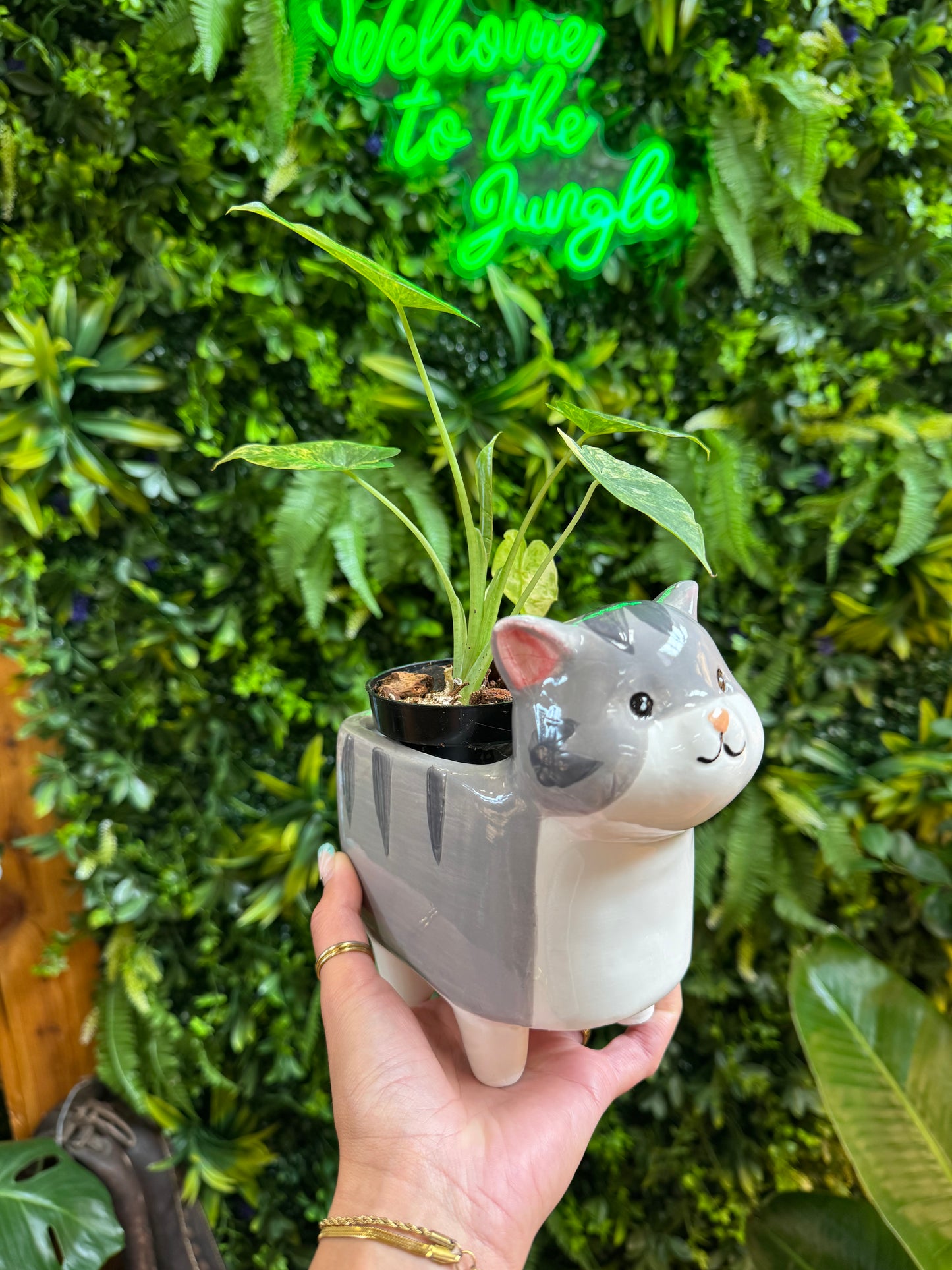 2.5" x 4.5" Gray Striped Cat Pot