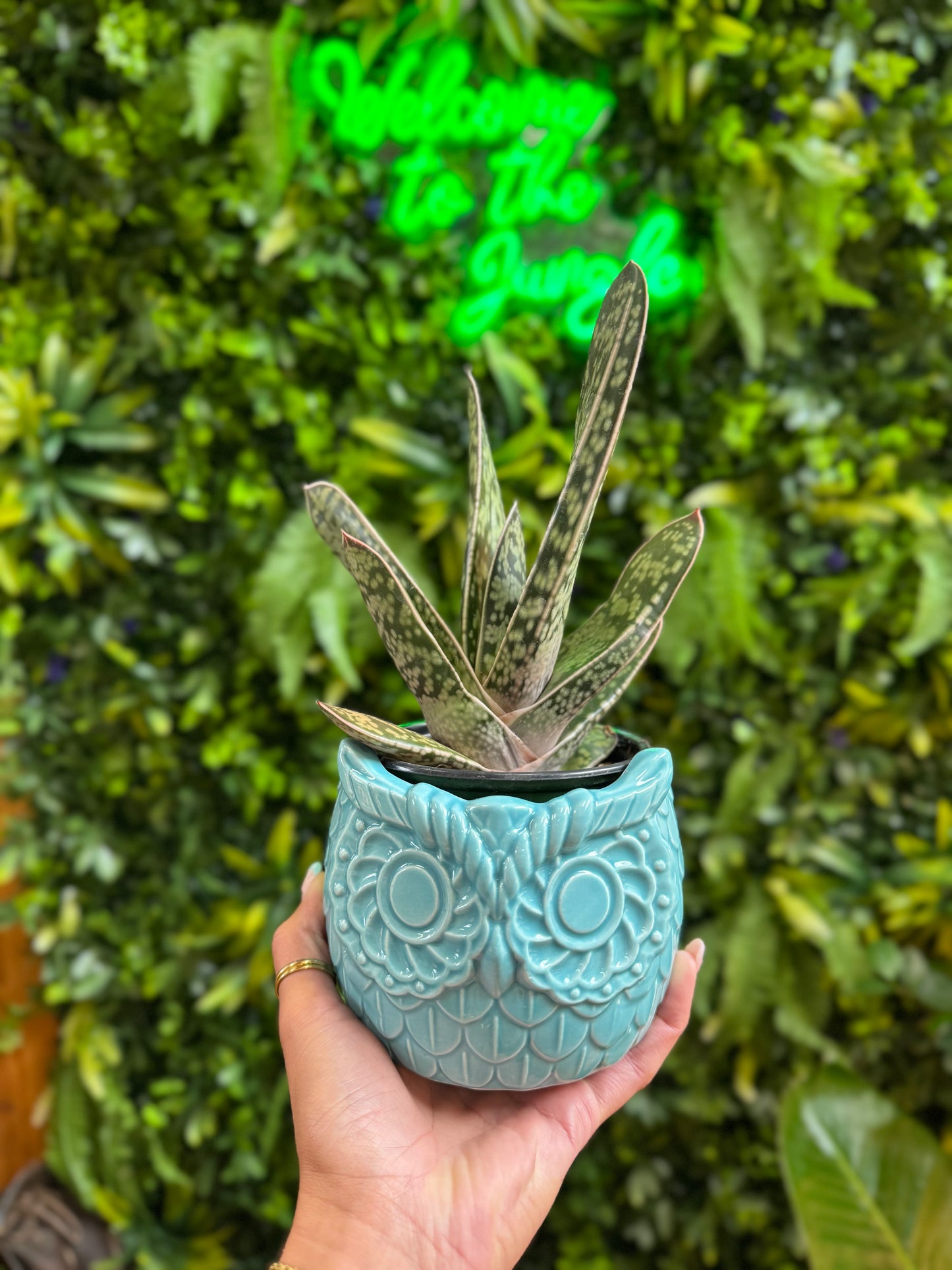 4" Blue Owl Pot