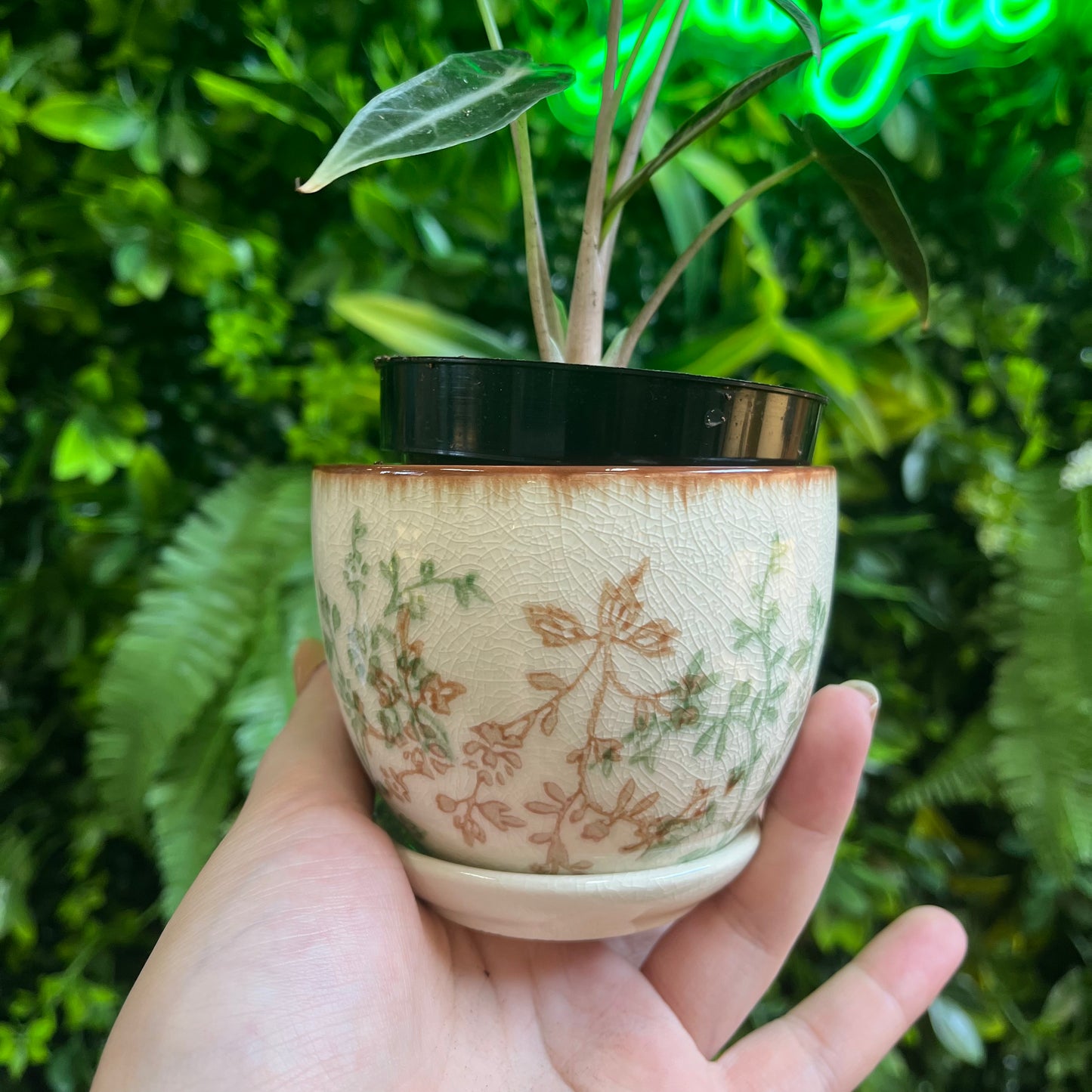 3.5" Ceramic Green & Beige Floral Pot With Saucer