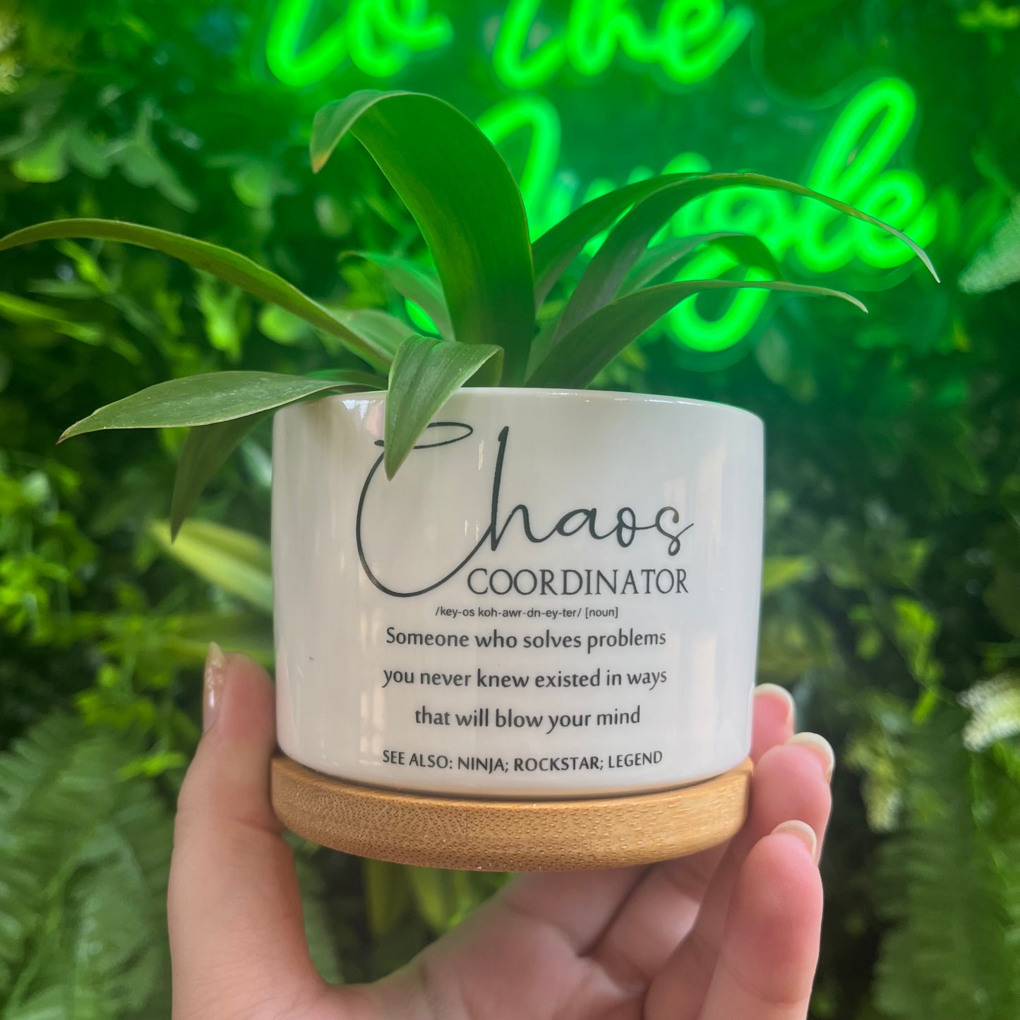 Chaos Coordinator Pot