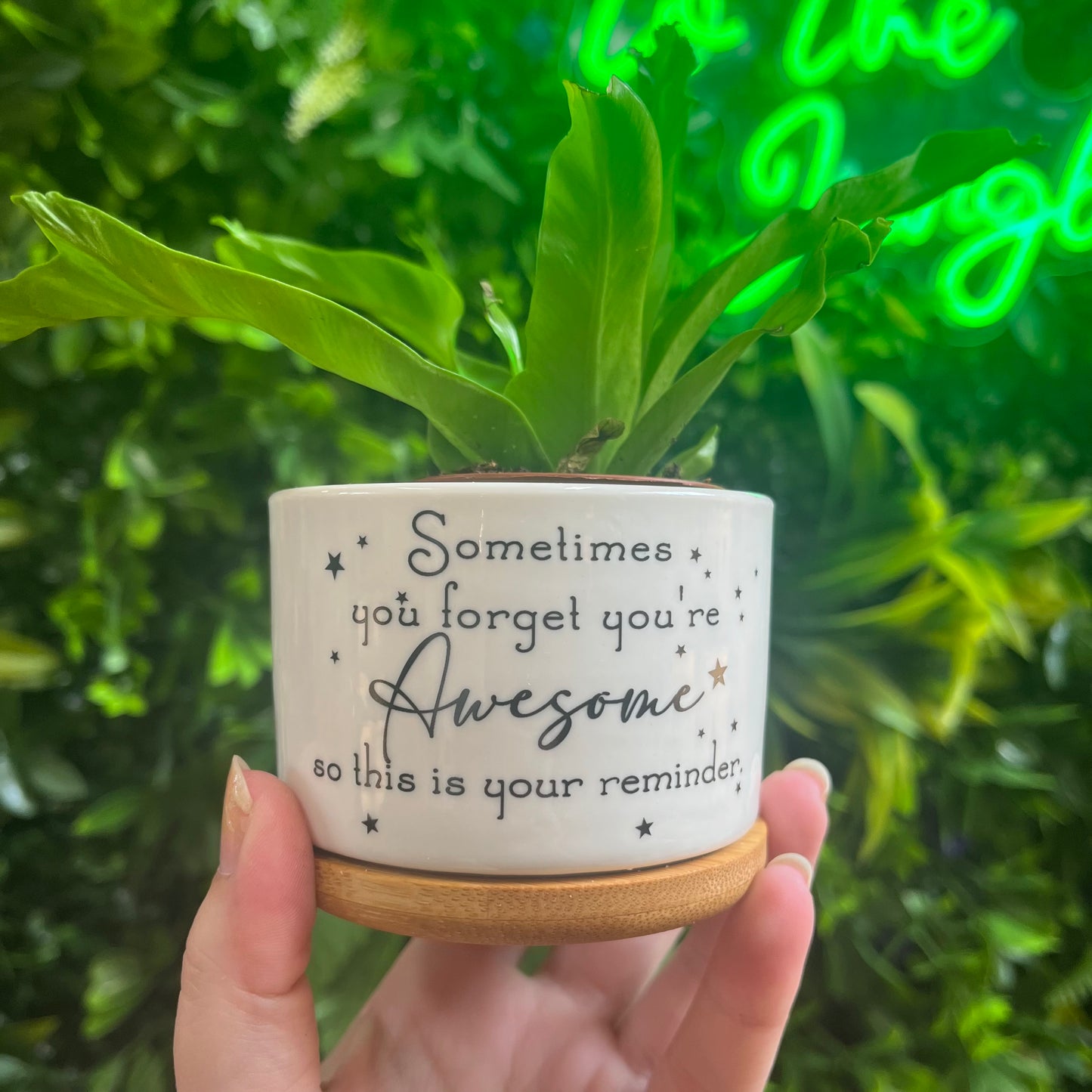 You Are Awesome Pot