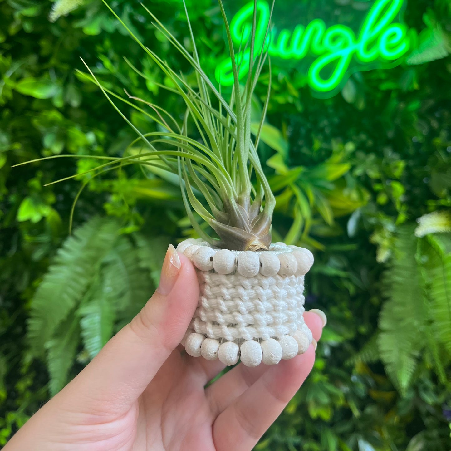 White Beaded Air Plant Holder Ring
