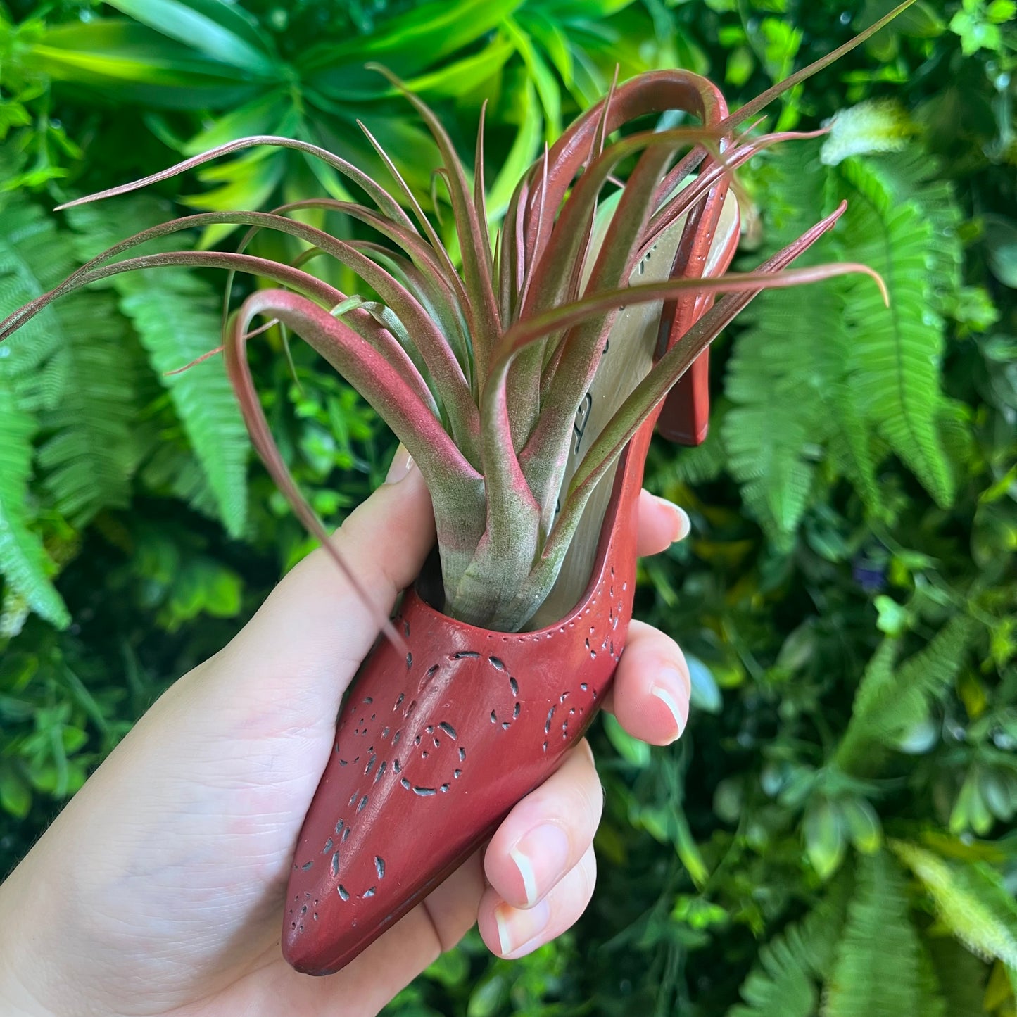 Red High Heel Air Plant Holder