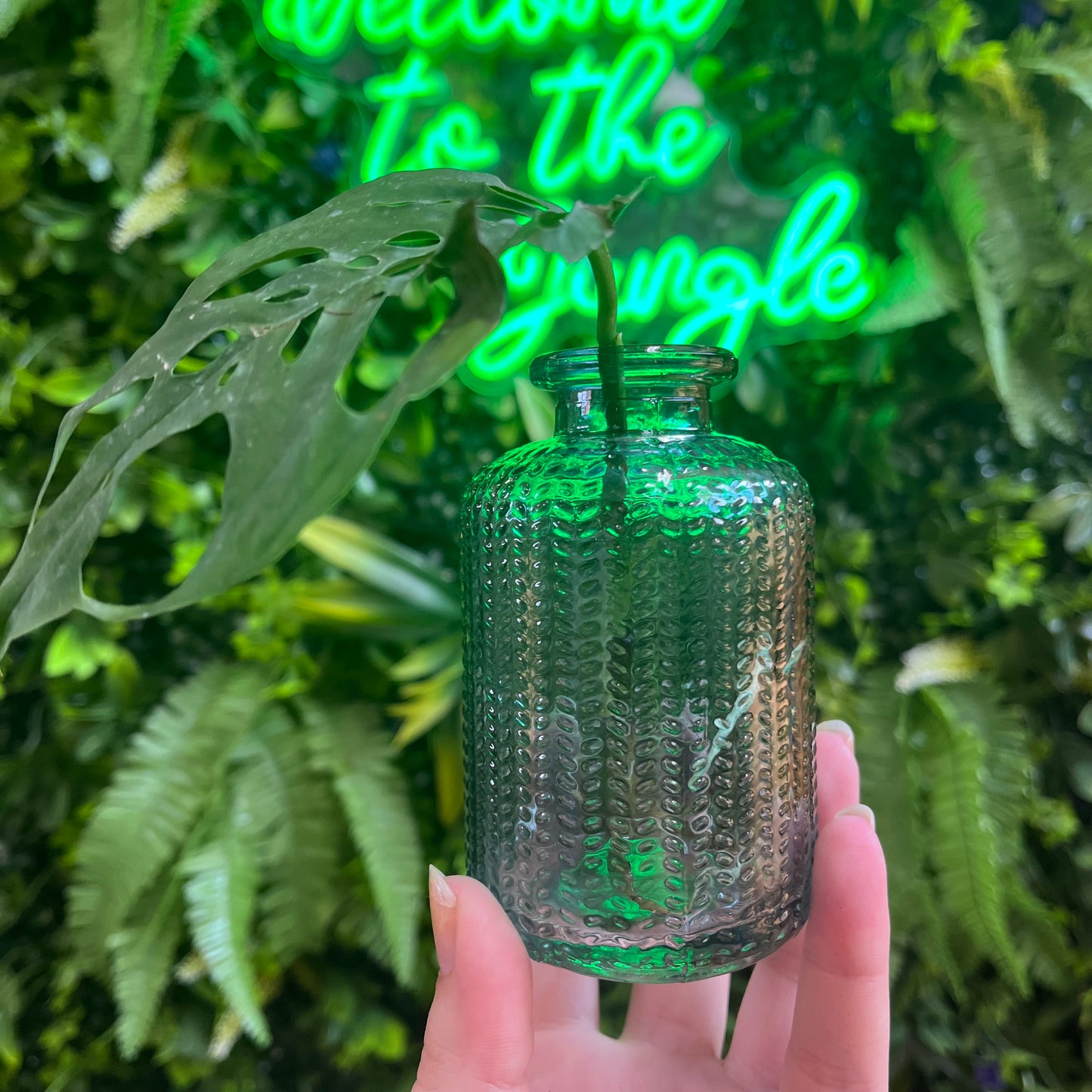 Blue Textured Glass Propagation Jar